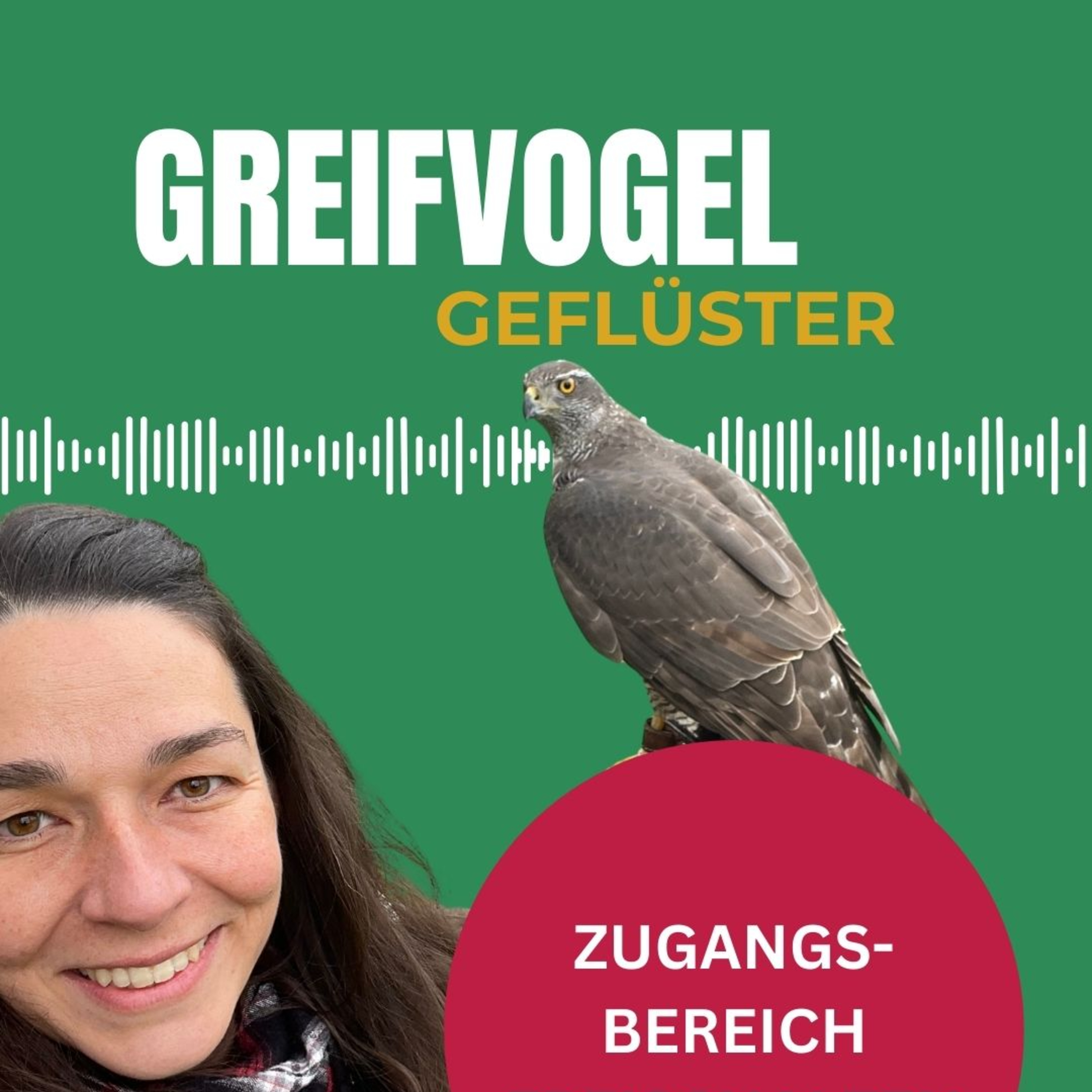 Update 2026 - FalknerIn Online-Stammtisch und mehr