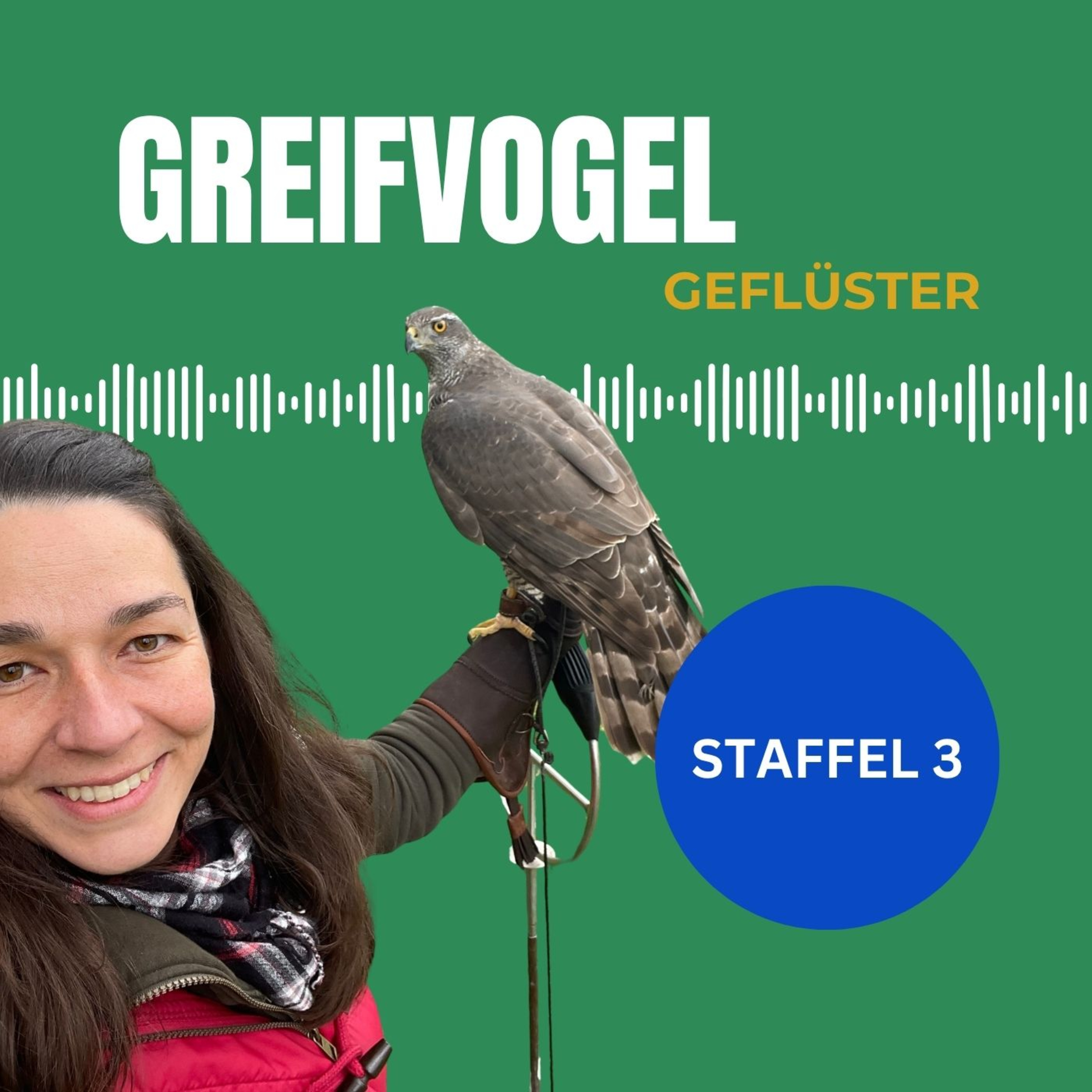 Artwork for Greifvogel Geflüster
