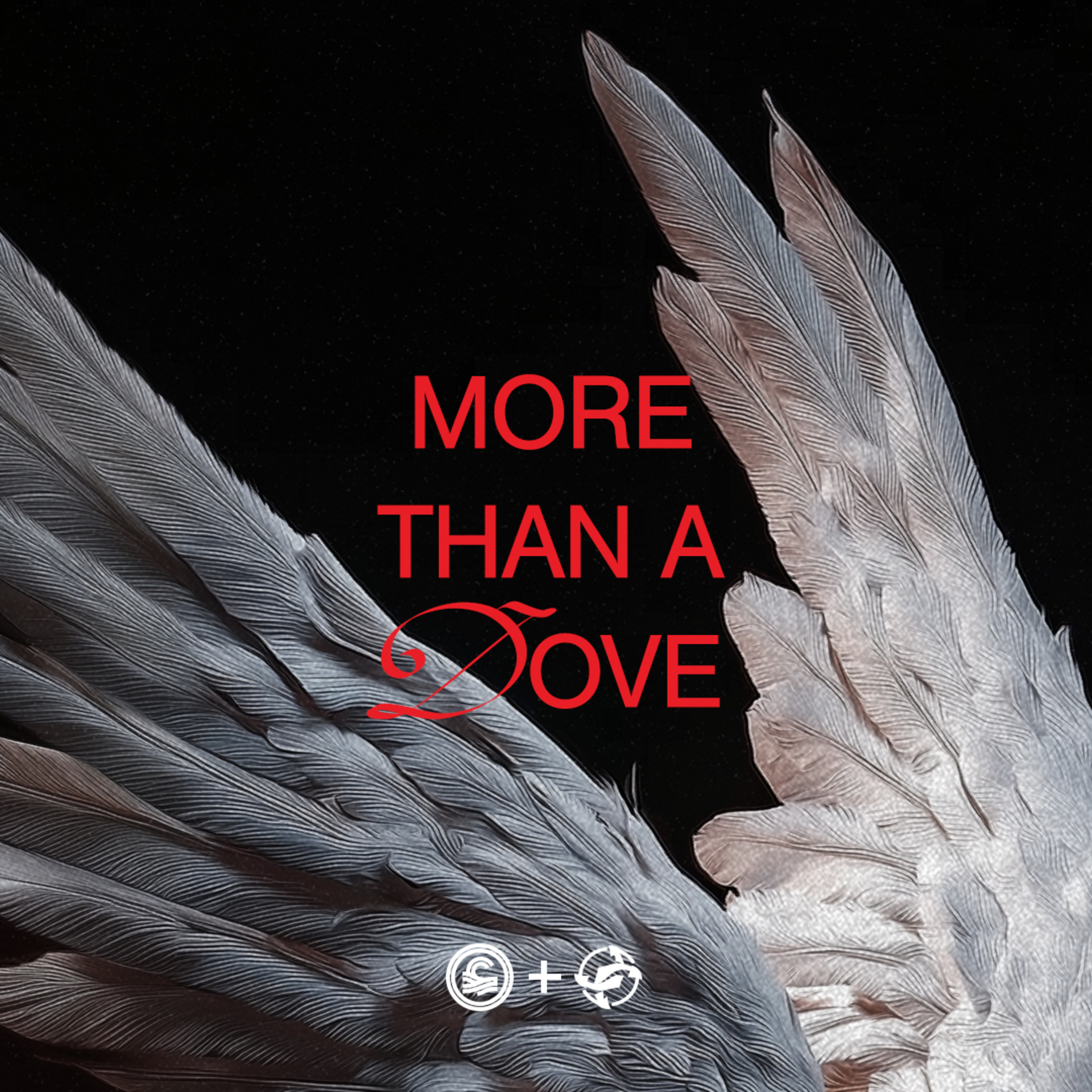 More Than A Dove | Pastor Angie Krulcik episode artwork