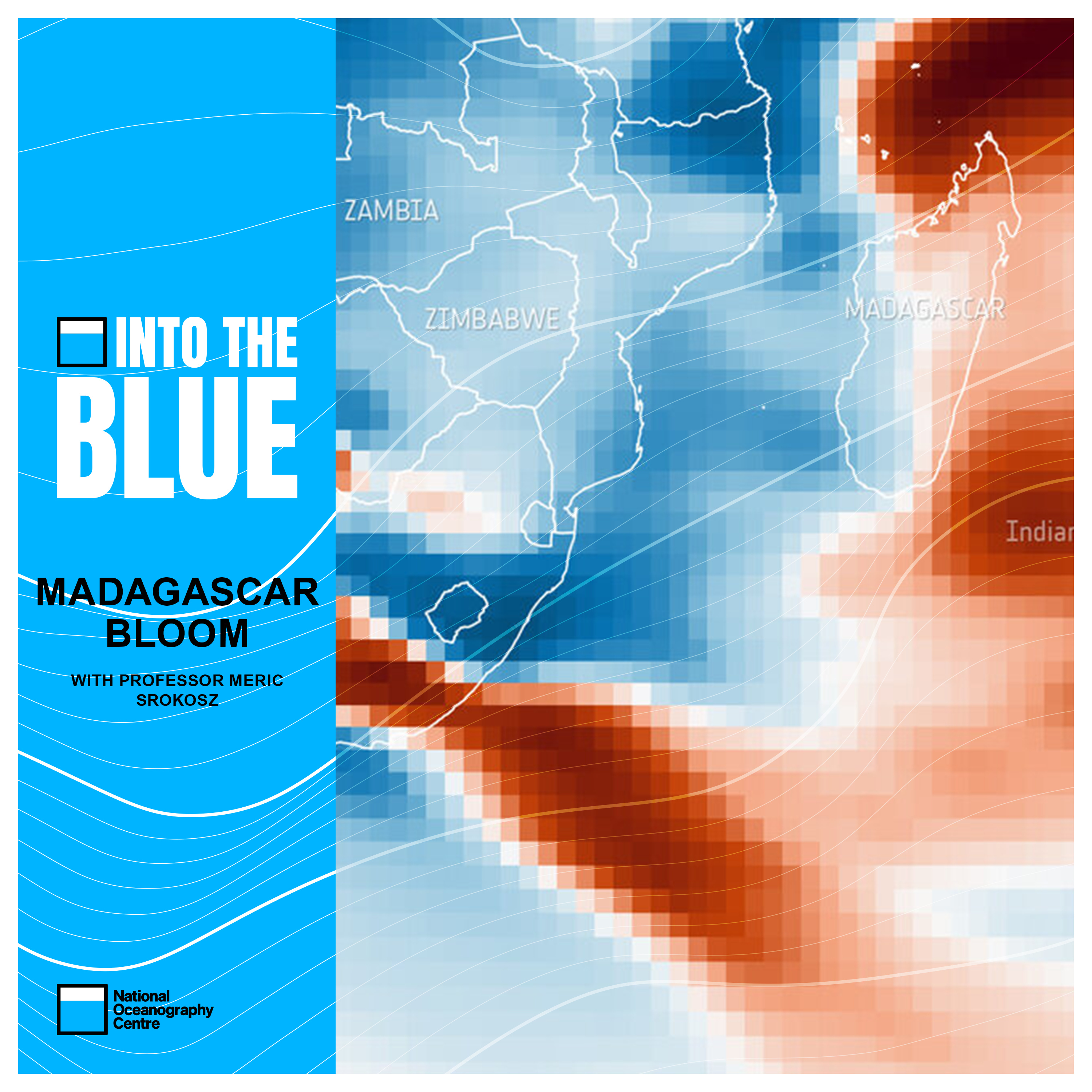 How an Unusual 'Bloom' Positively Affected Marine Life and the Atmosphere | Into the Blue Podcast