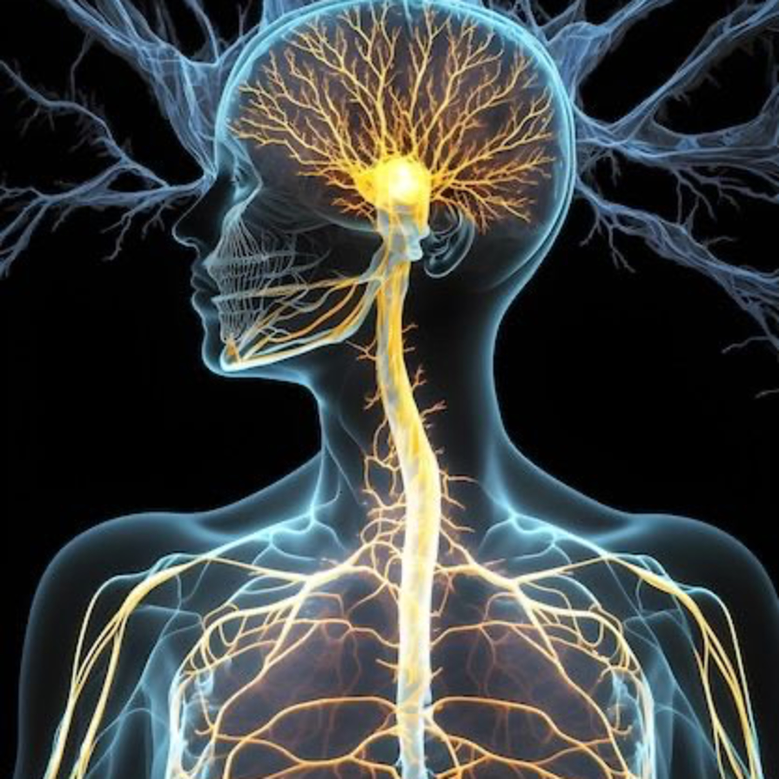 NEURONEXUS