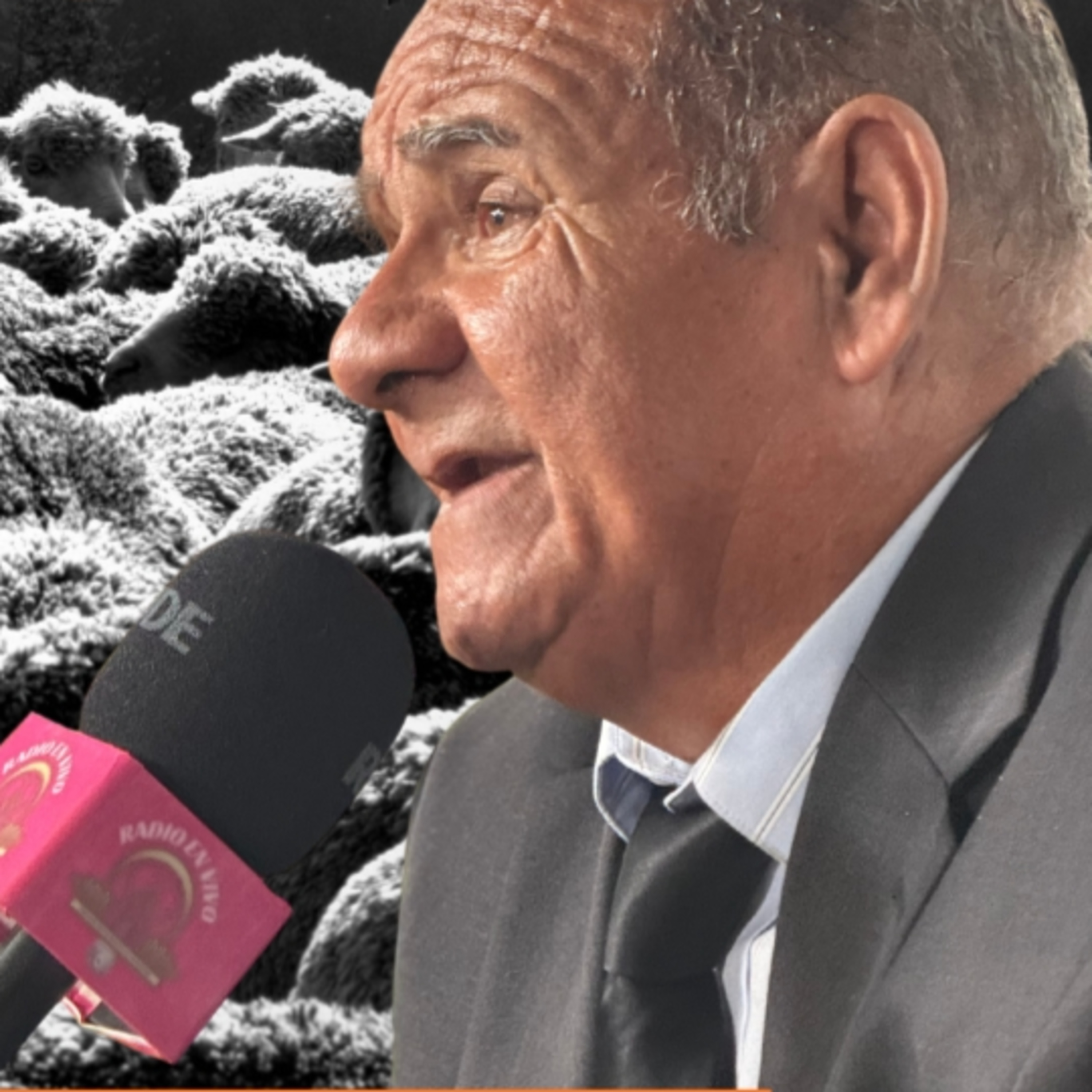 Portada de Restaurador De Corazones PODCAST