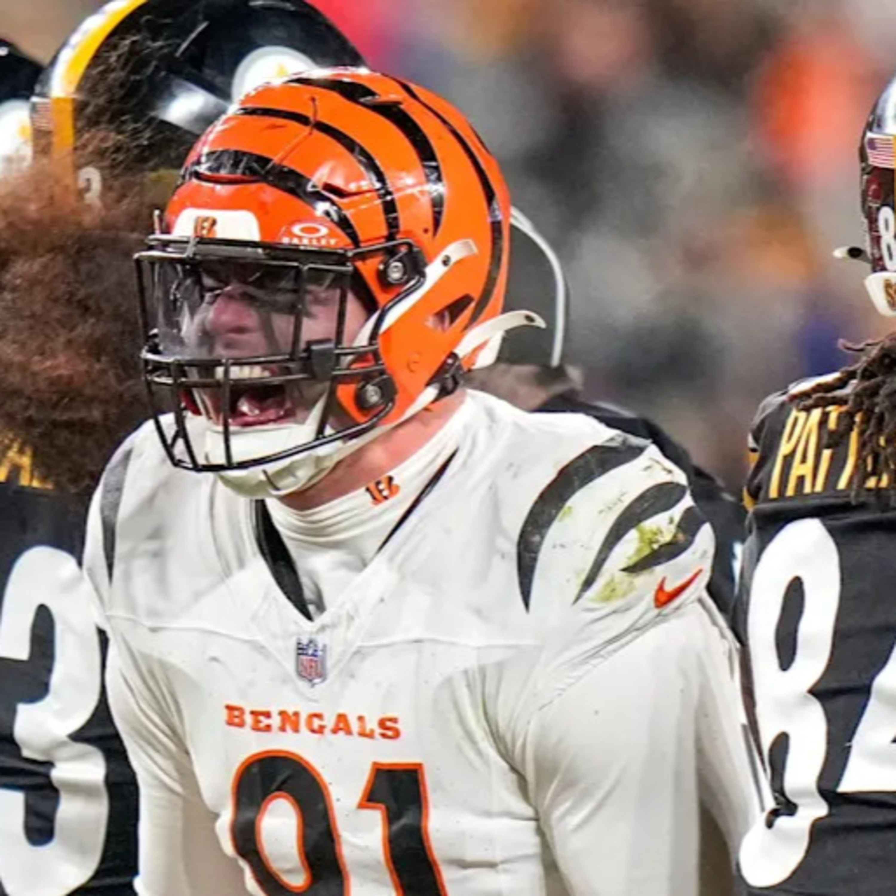 The Gridiron Jungle