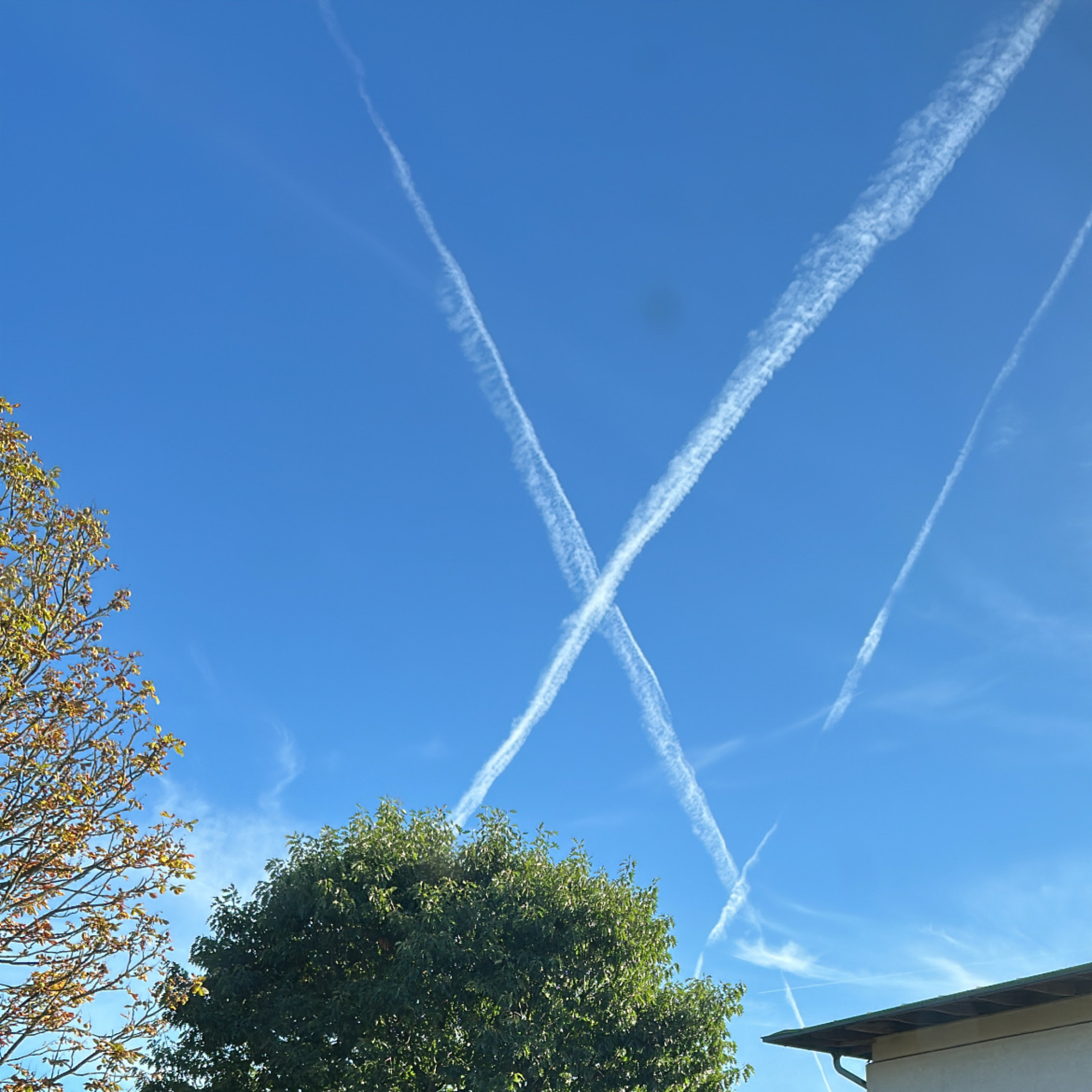 Ronahishealingjourney - Eine Reise zu mir selbst