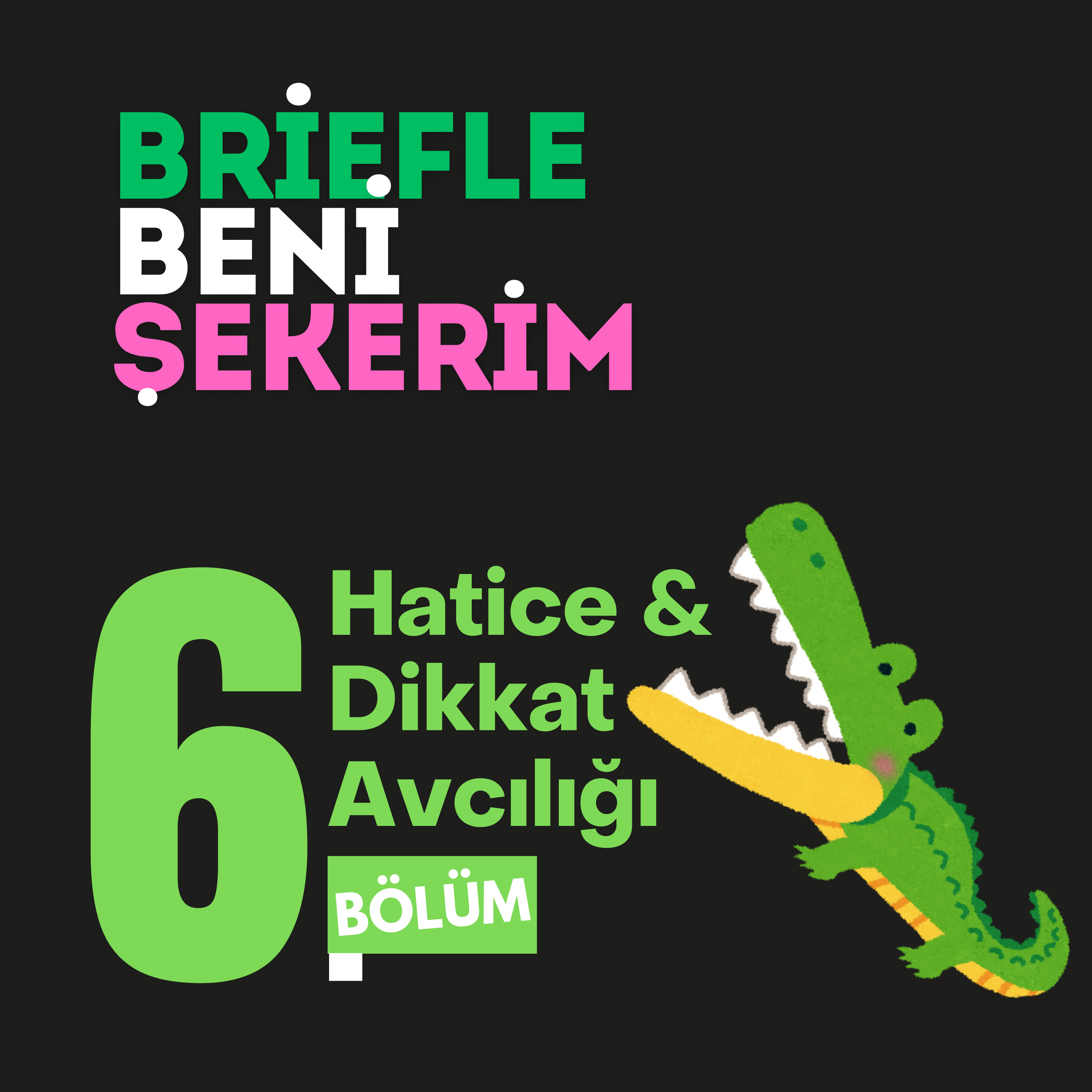 6. Bölüm: Hatice ve Dikkat Avcılığı episode artwork