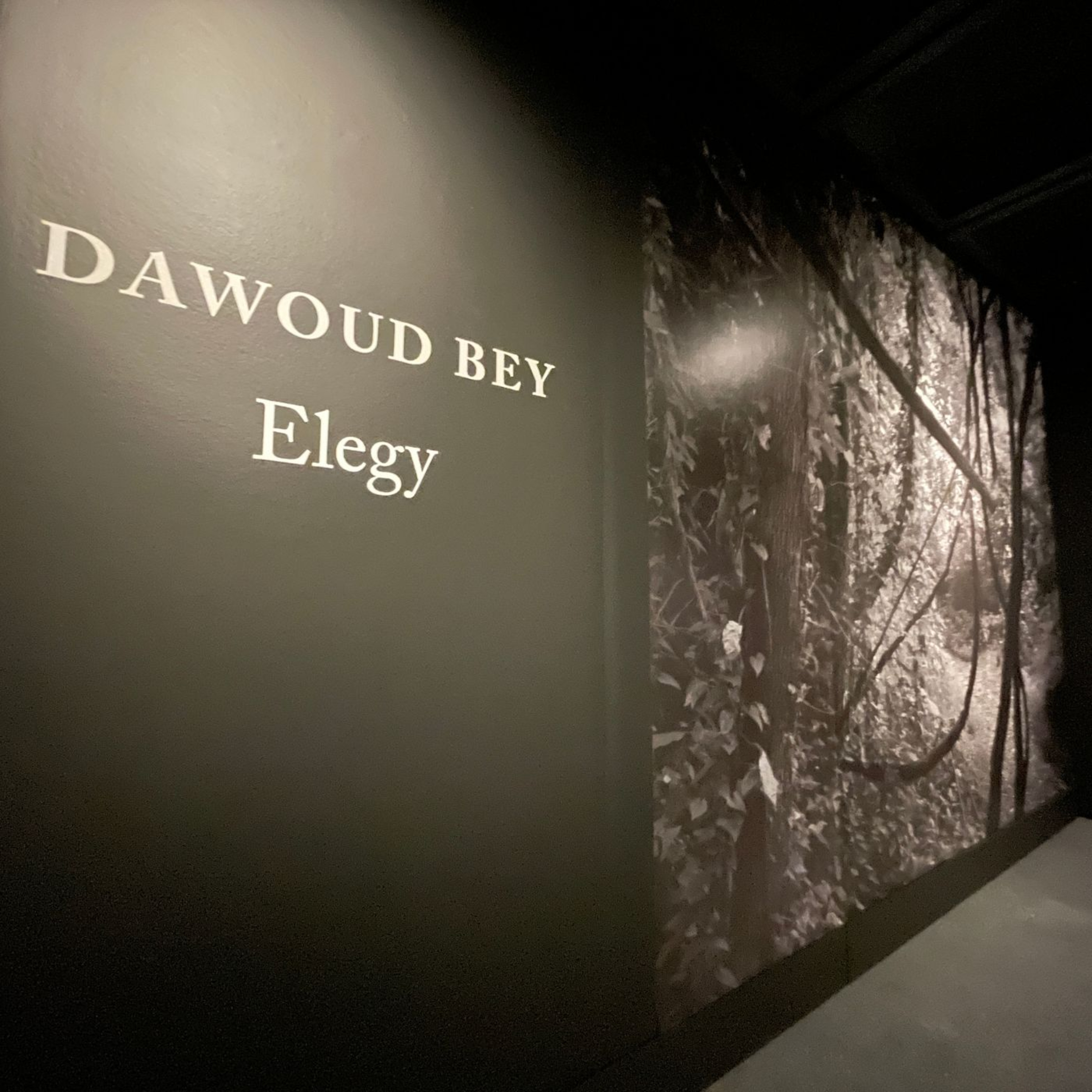 The Museumgoer podcast