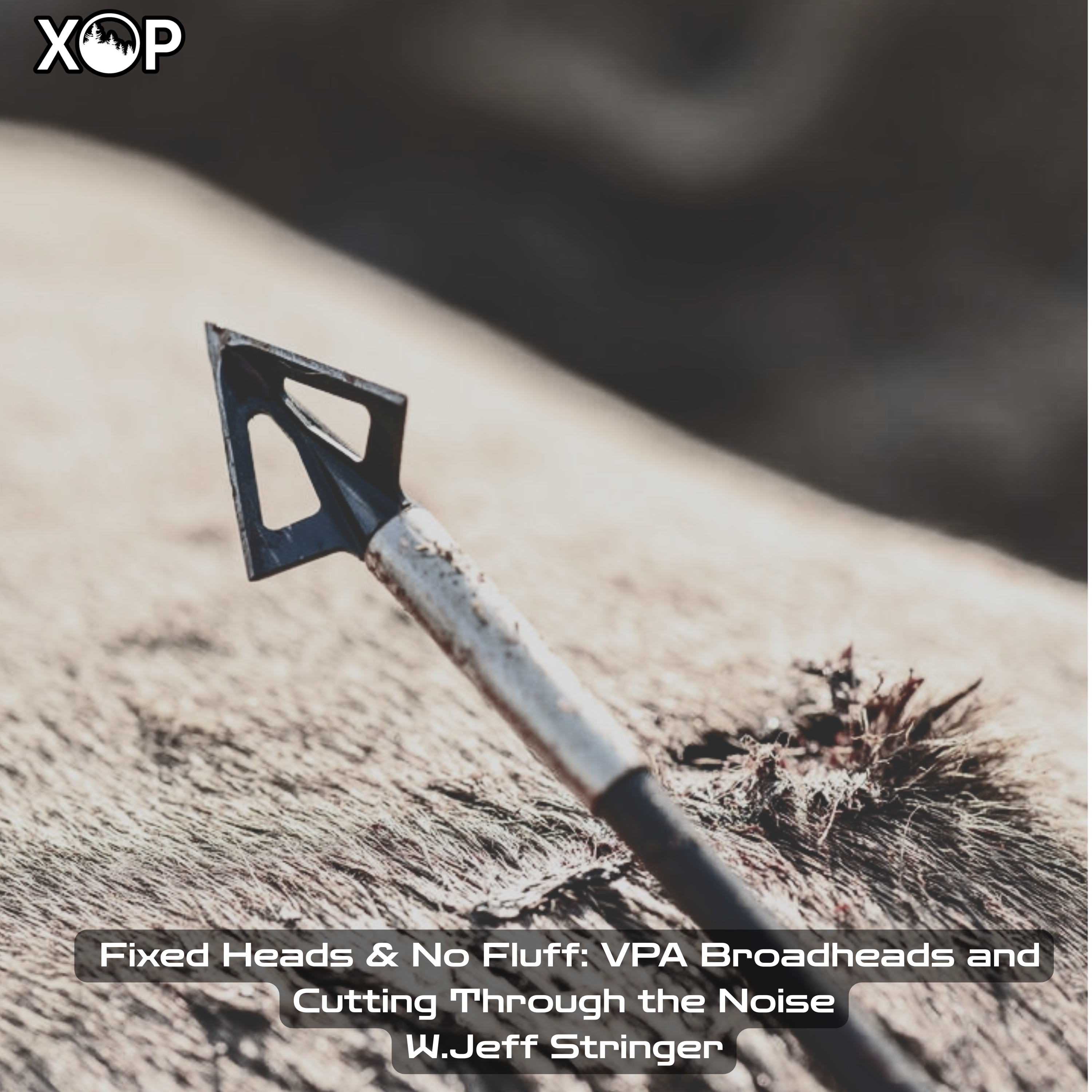 Backcountry PA | The Hunting Process