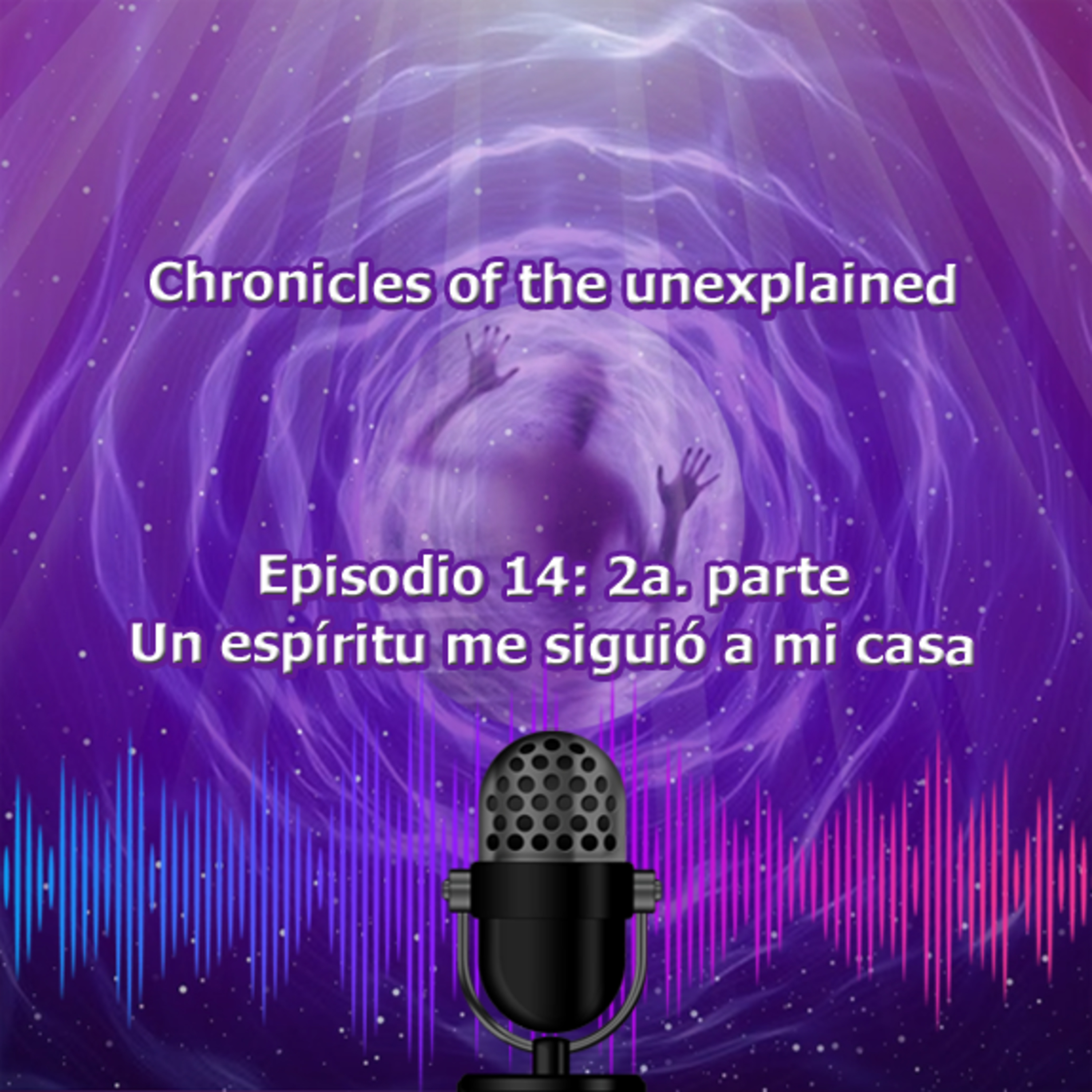 T01 EP14 Un espíritu me siguió a mi casa (2a parte) episode artwork