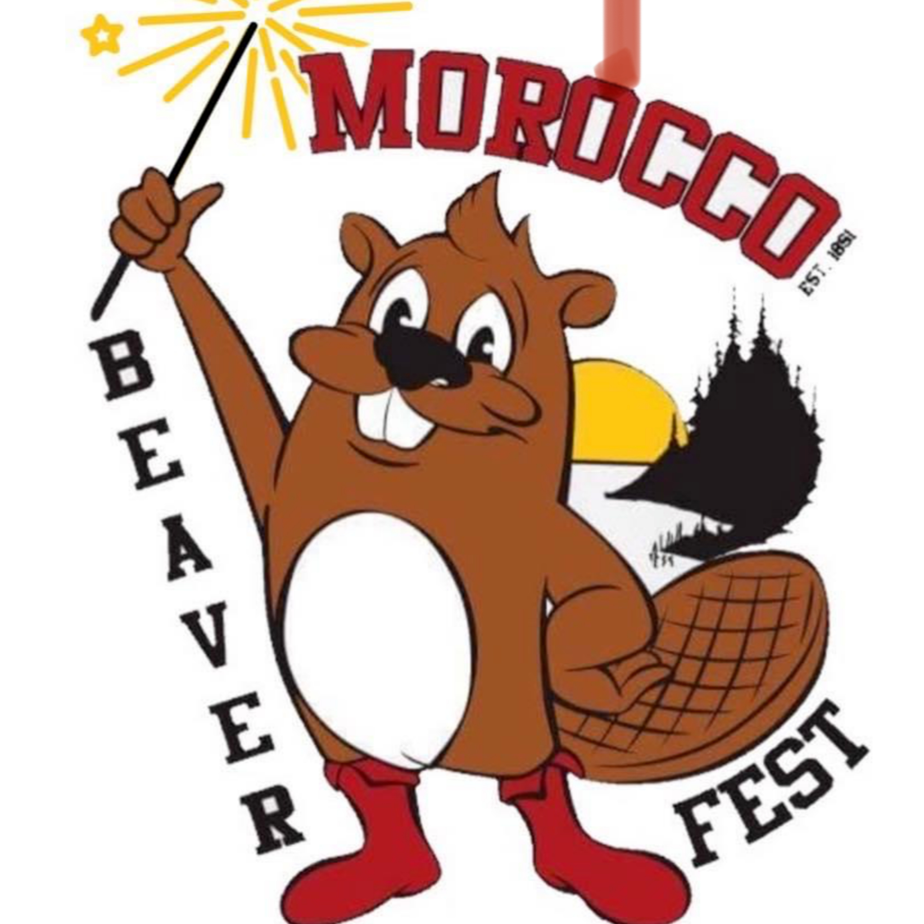 The Newton County Insider