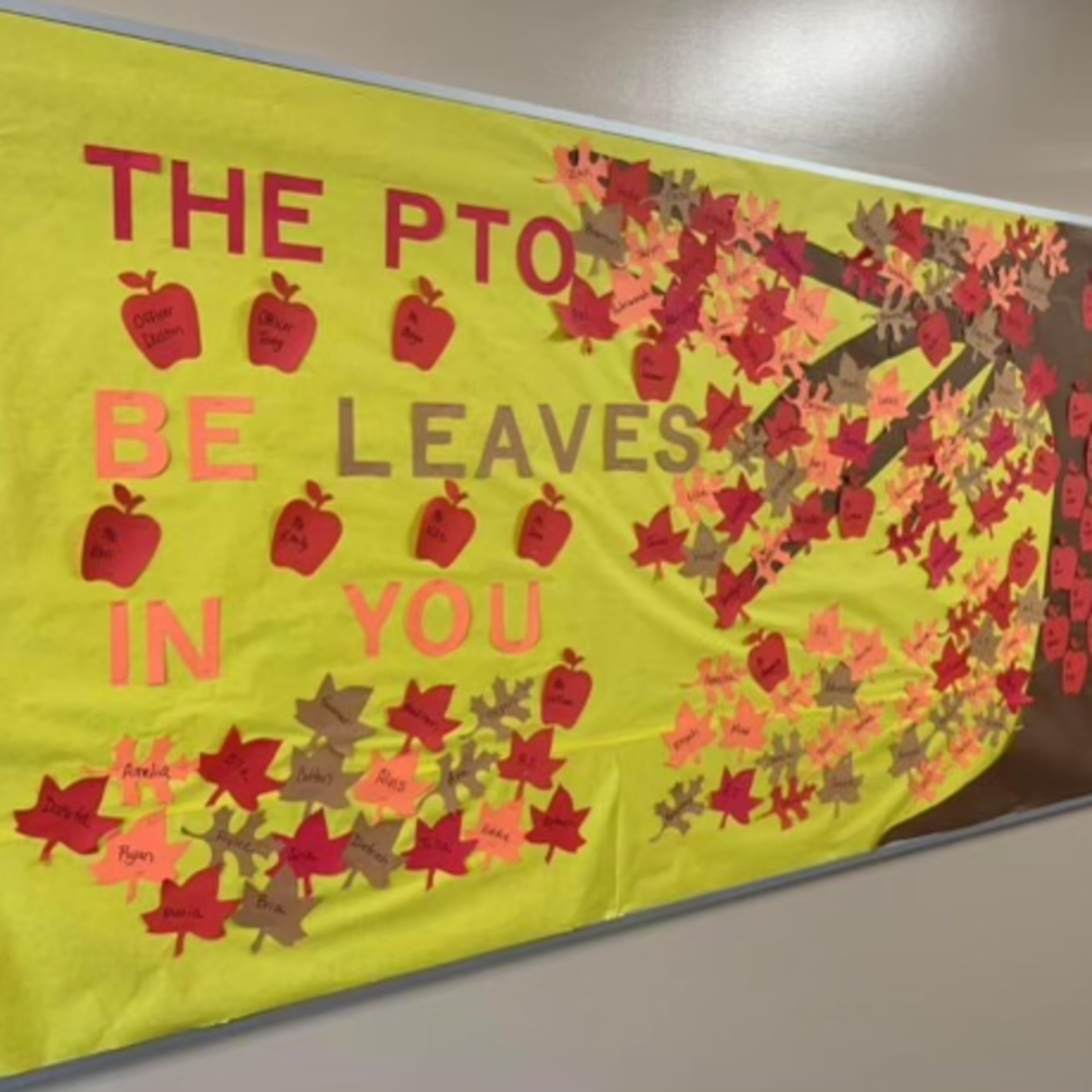 The Newton County Insider