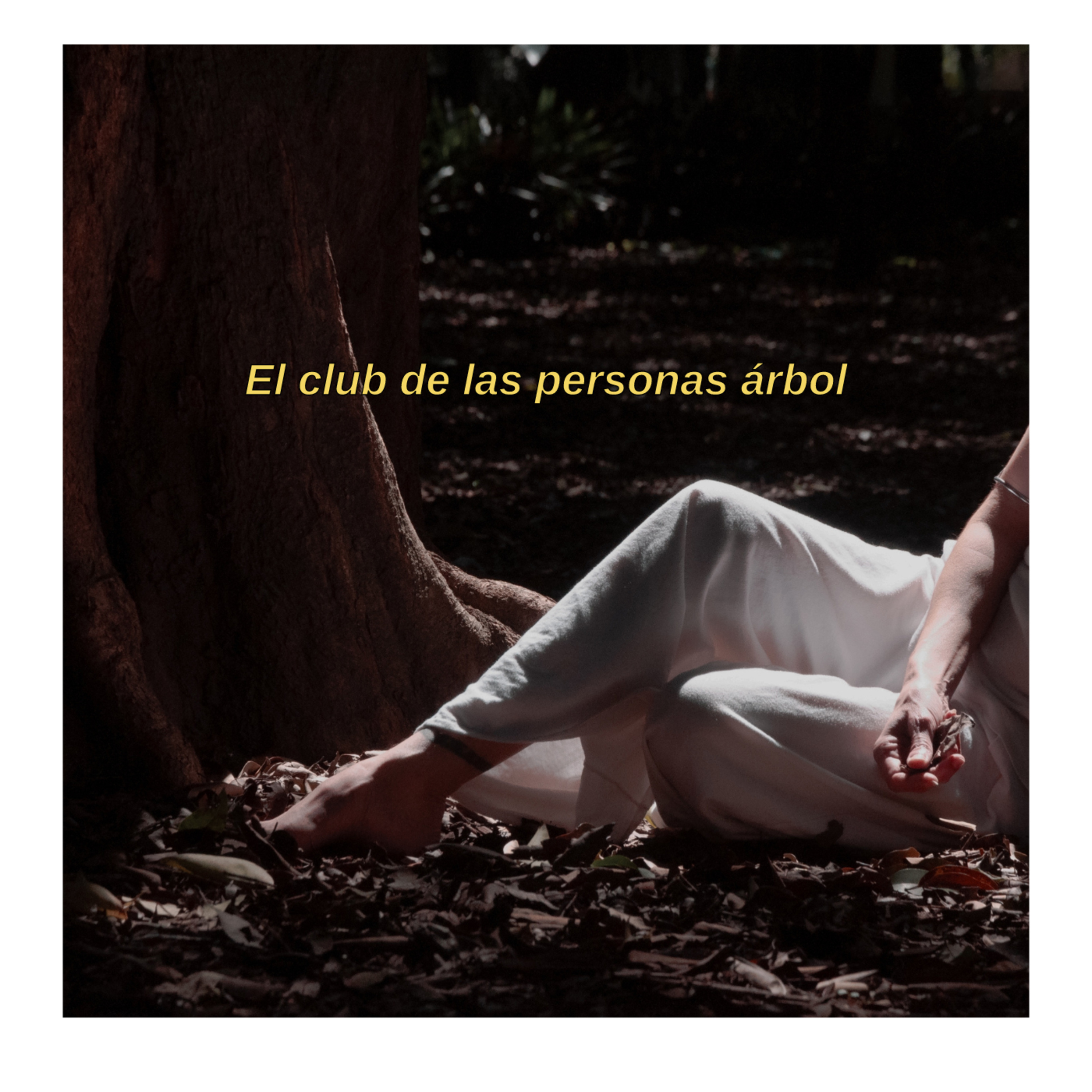 #1 El club de las personas árbol episode artwork