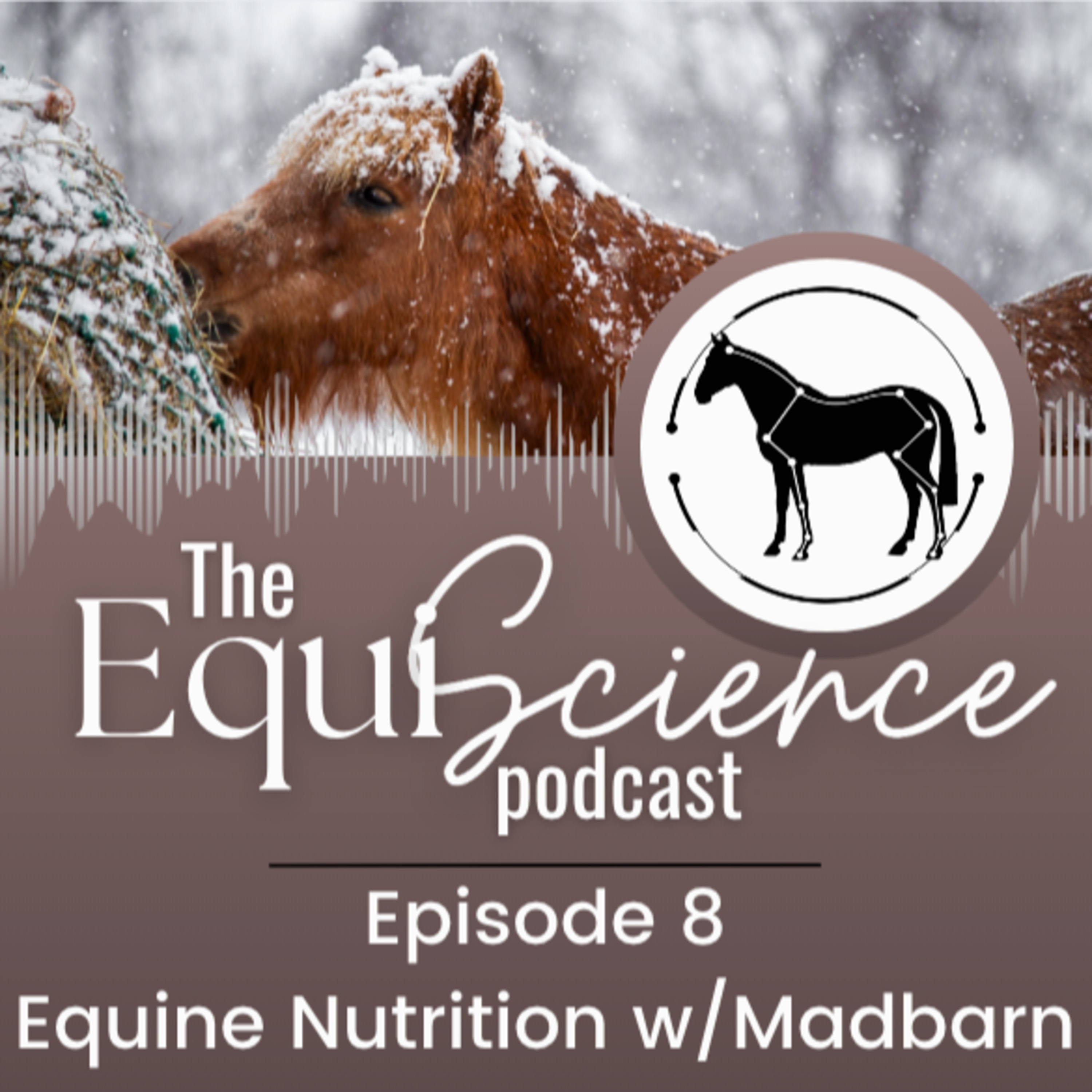 The EquiScience Podcast