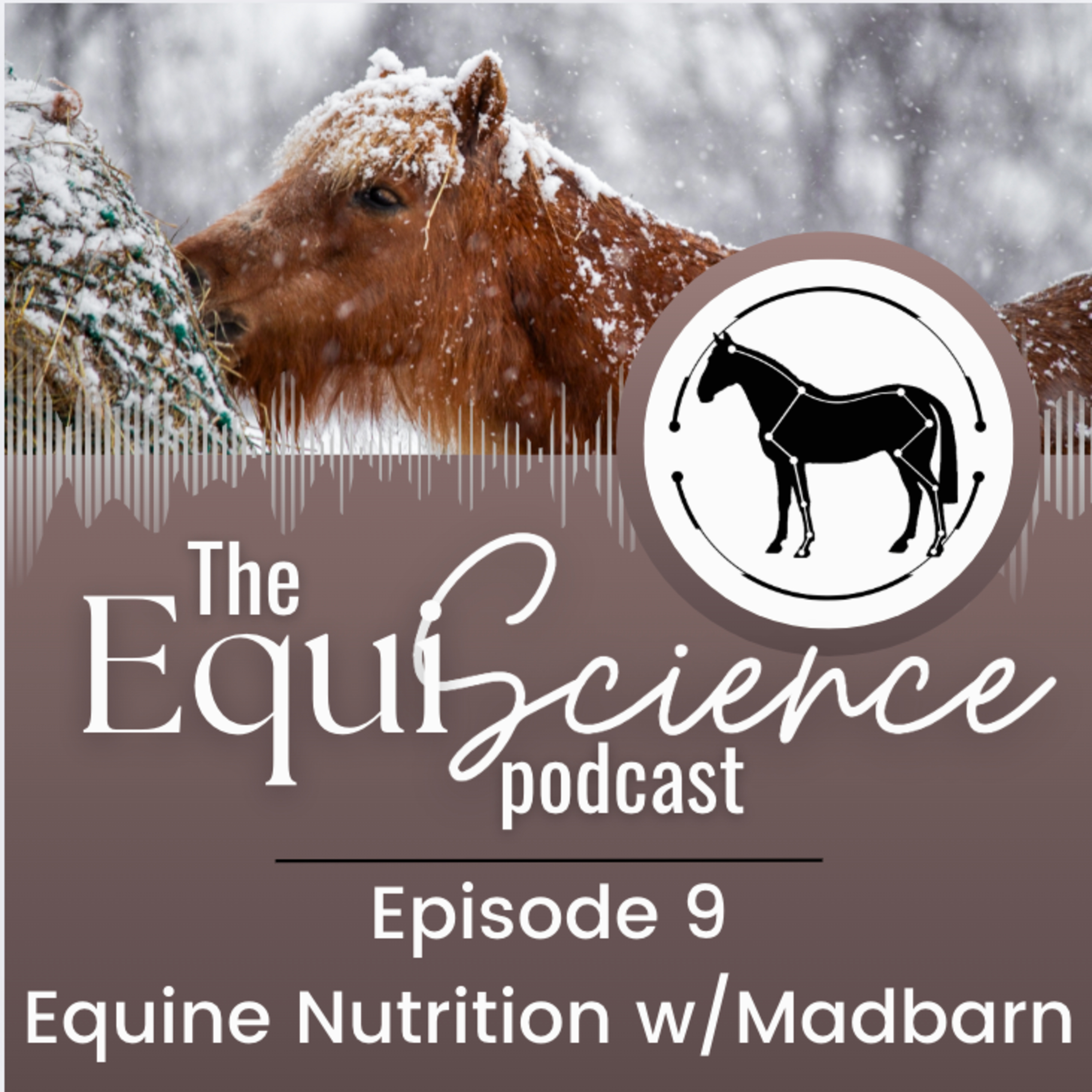 The EquiScience Podcast