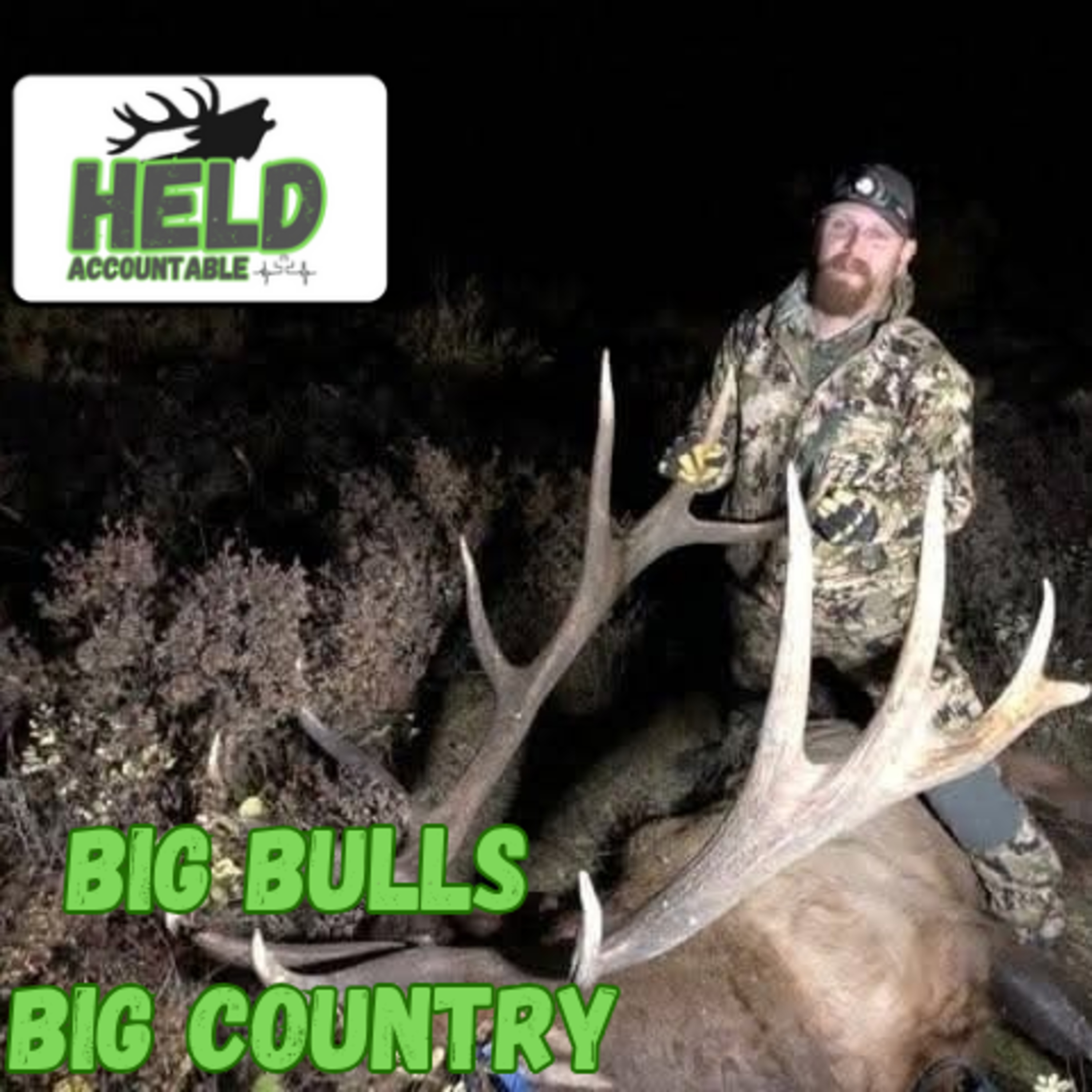 Travis Nemeth | BIG ALBERTA BULLS in BIGGER COUNTRY  episode artwork