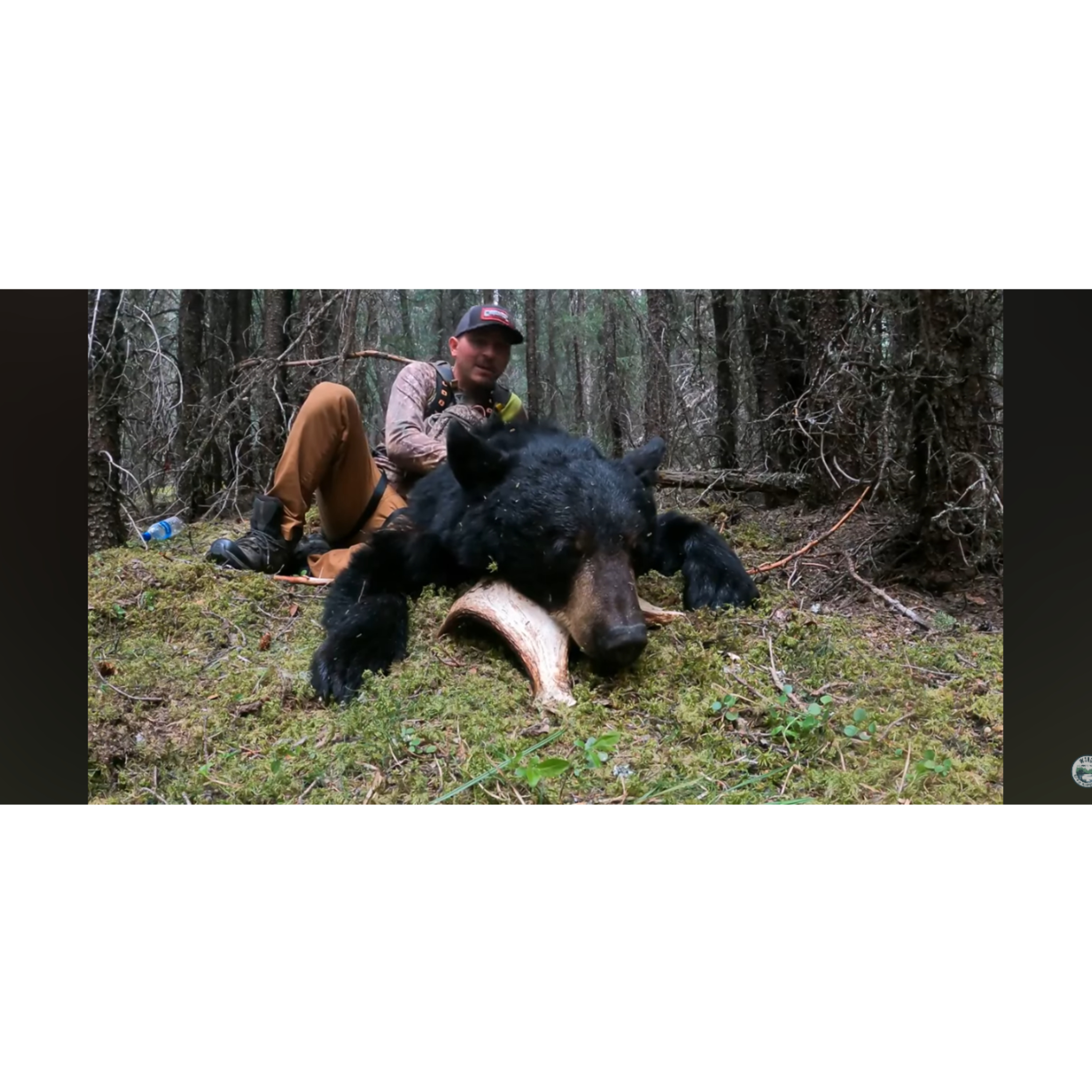 Tyler Heather | Bowhunting Reacquainted (Spring Bear Solo Bait and Harvest)  episode artwork
