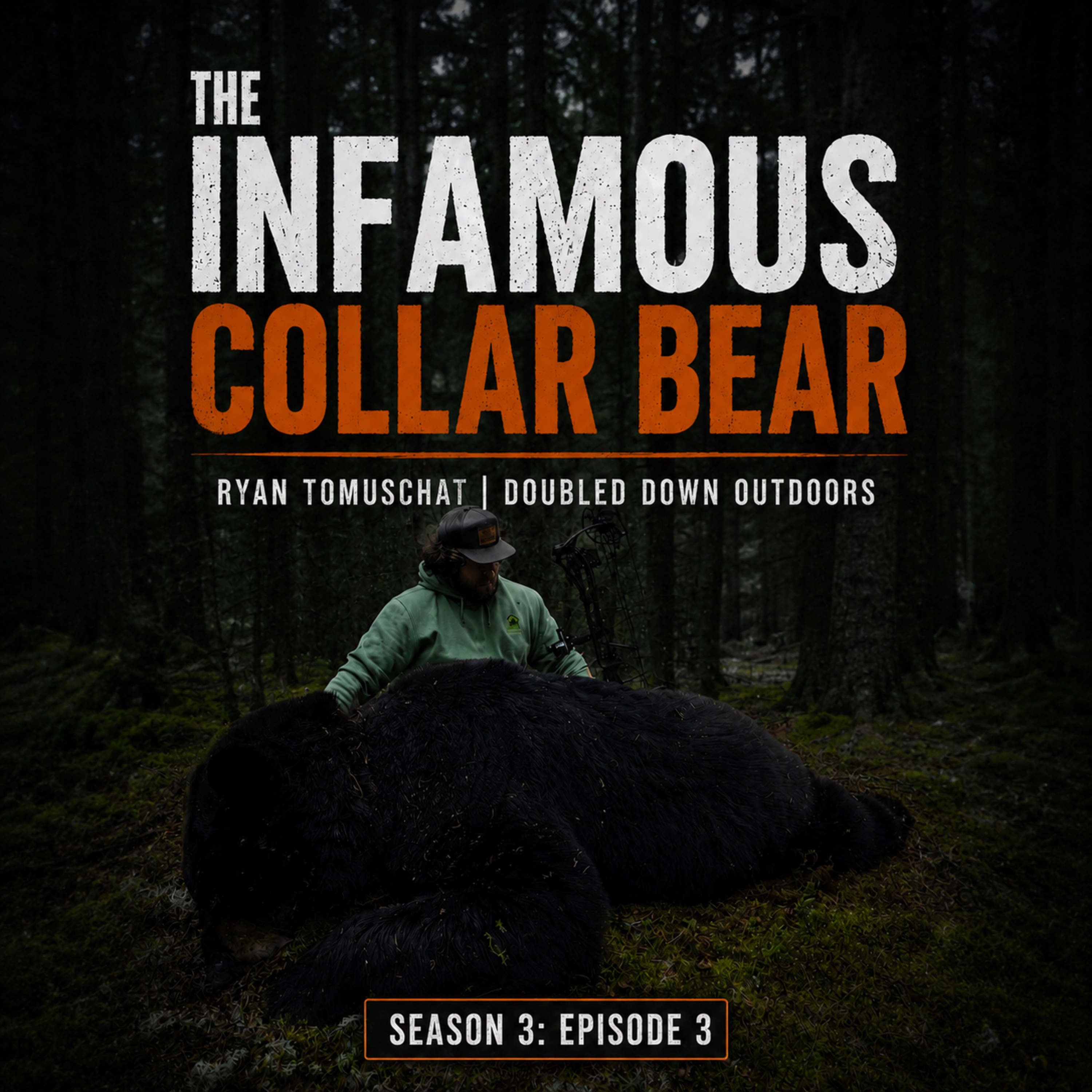 Ryan Tomuschat | The Infamous Collar Bear  episode artwork