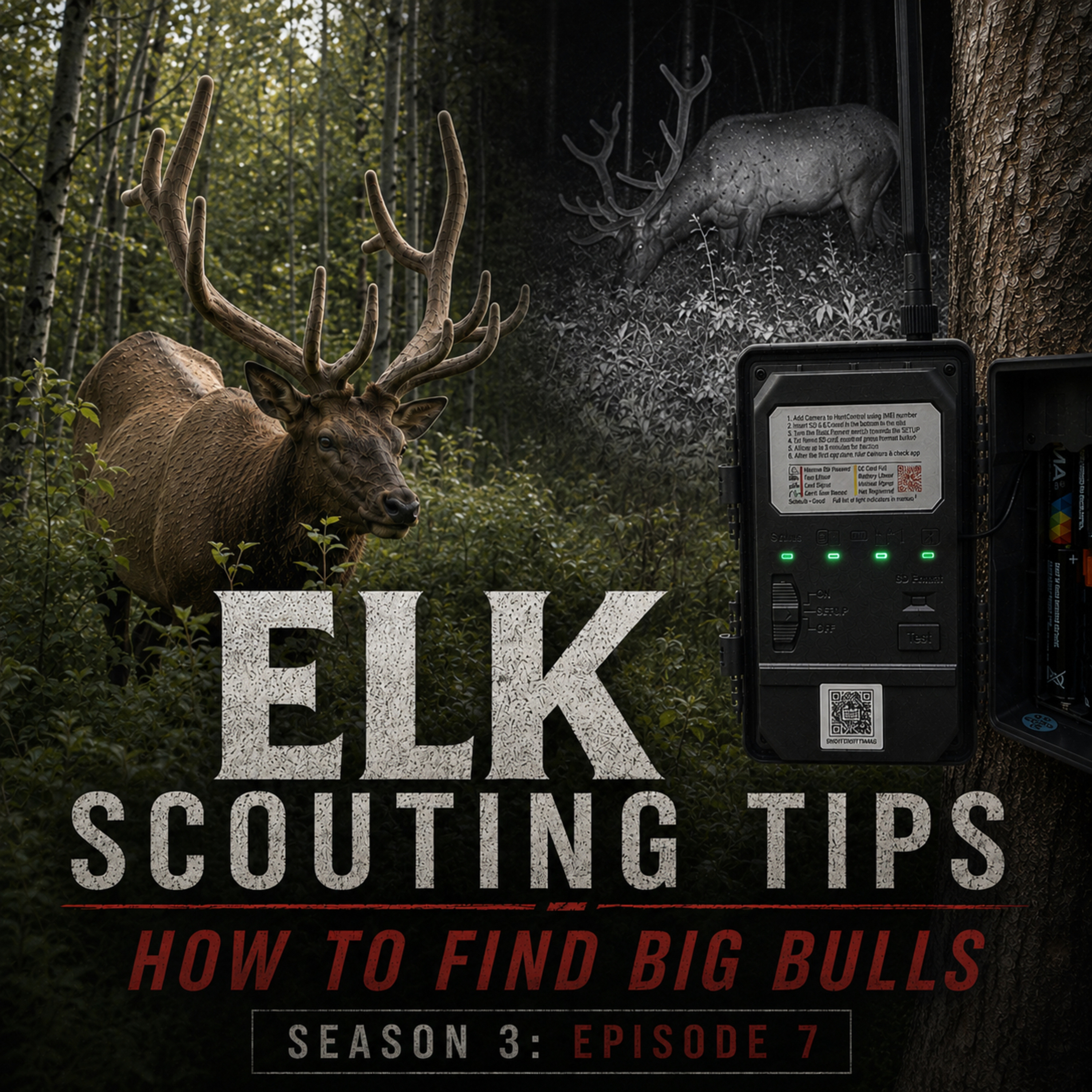 Summer Elk Scouting Success | How To Find Big Bulls episode artwork