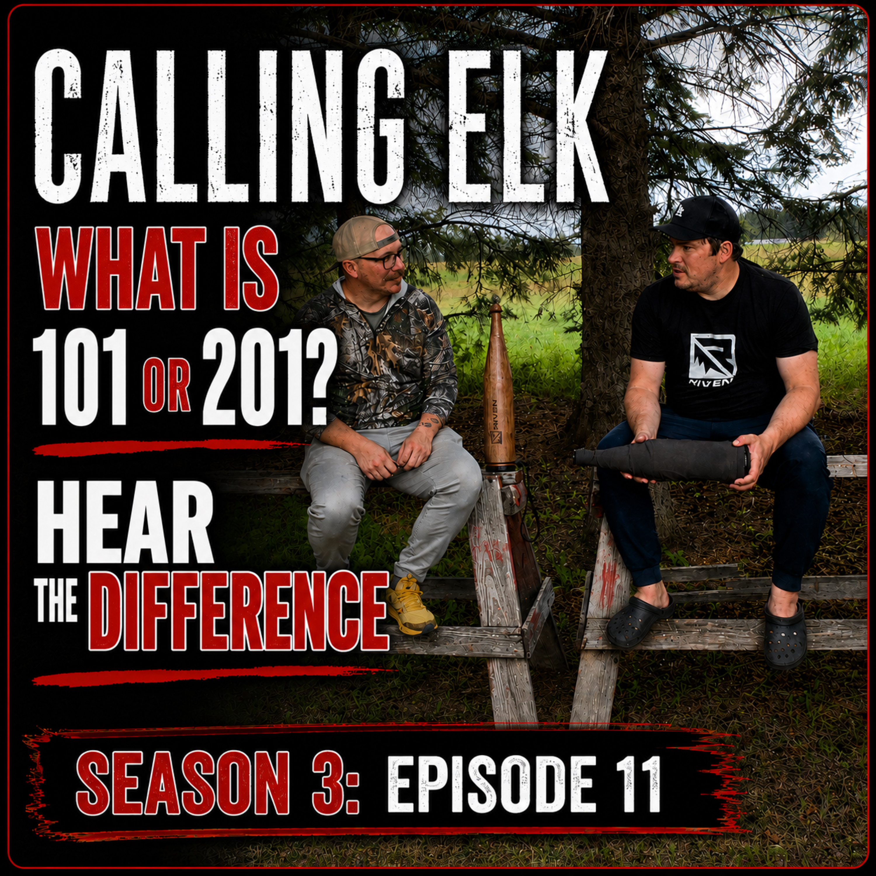 Calling Elk l What is 101 & 201?  episode artwork