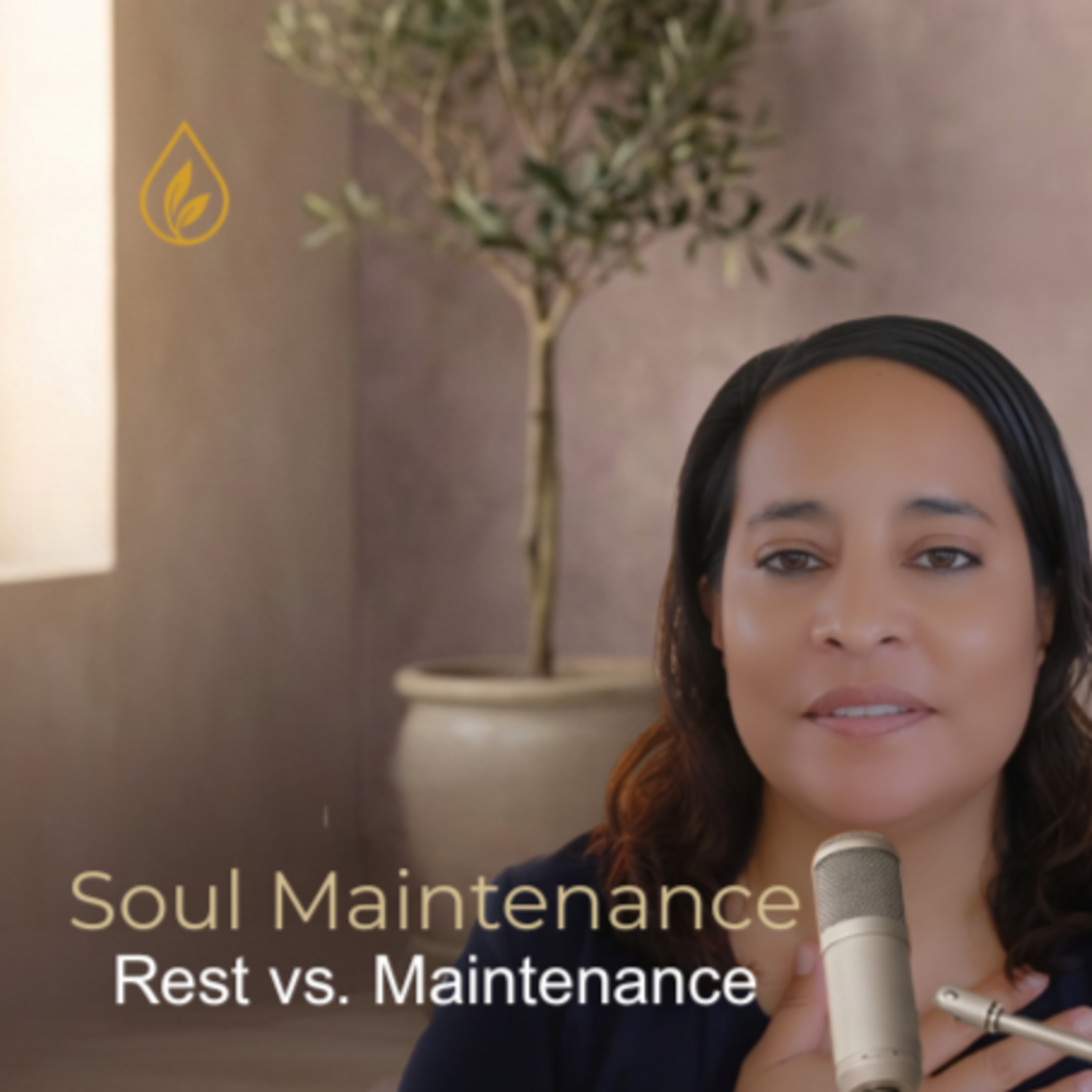 Soul Maintenance: Rest vs. Maintenance episode artwork