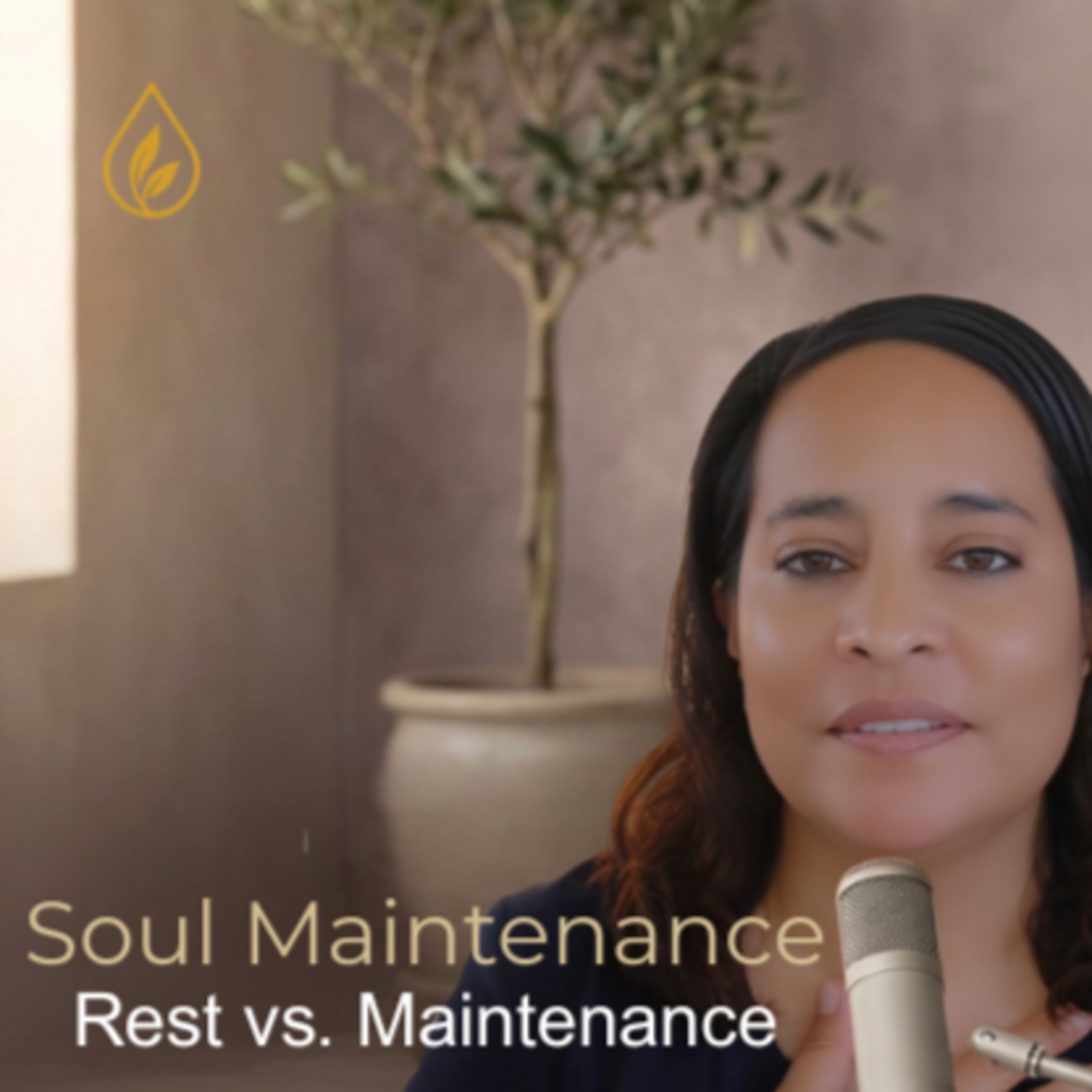 Rest vs. Maintenance: A Soul Maintenance Conversation episode artwork