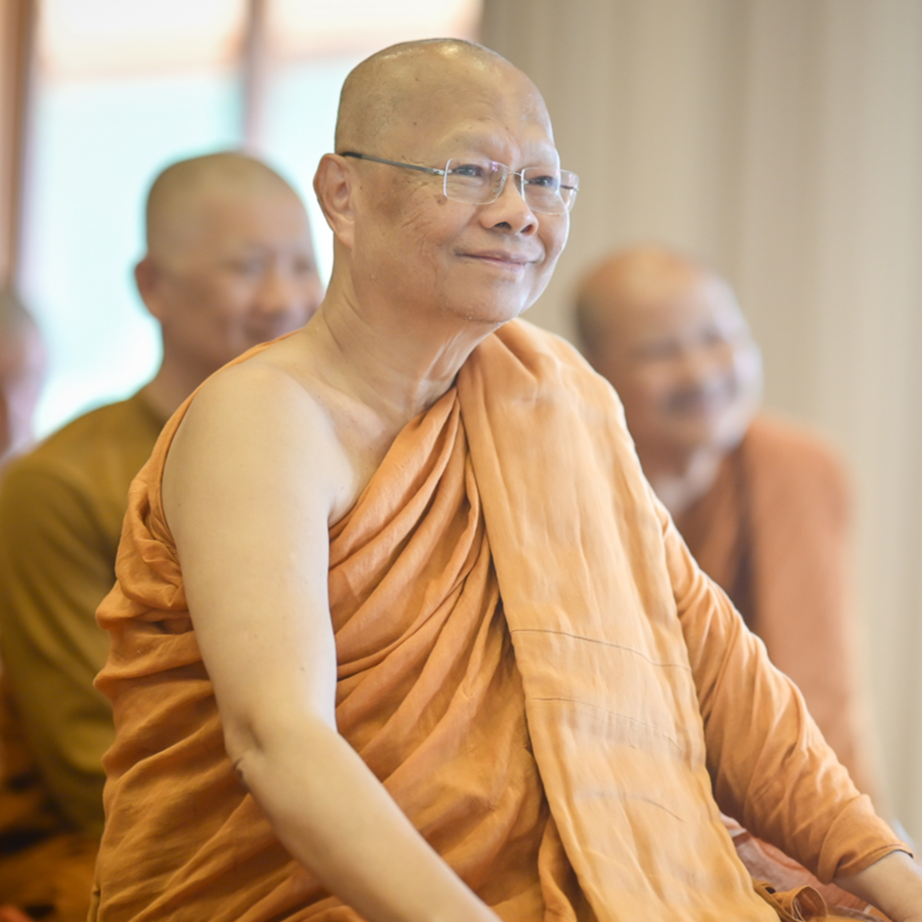 A Reflection of Many Sacrifices; of Many Hearts of Goodness. Anumodanā - by Luang Por Anan (Eng) 26 Apr 25 episode artwork