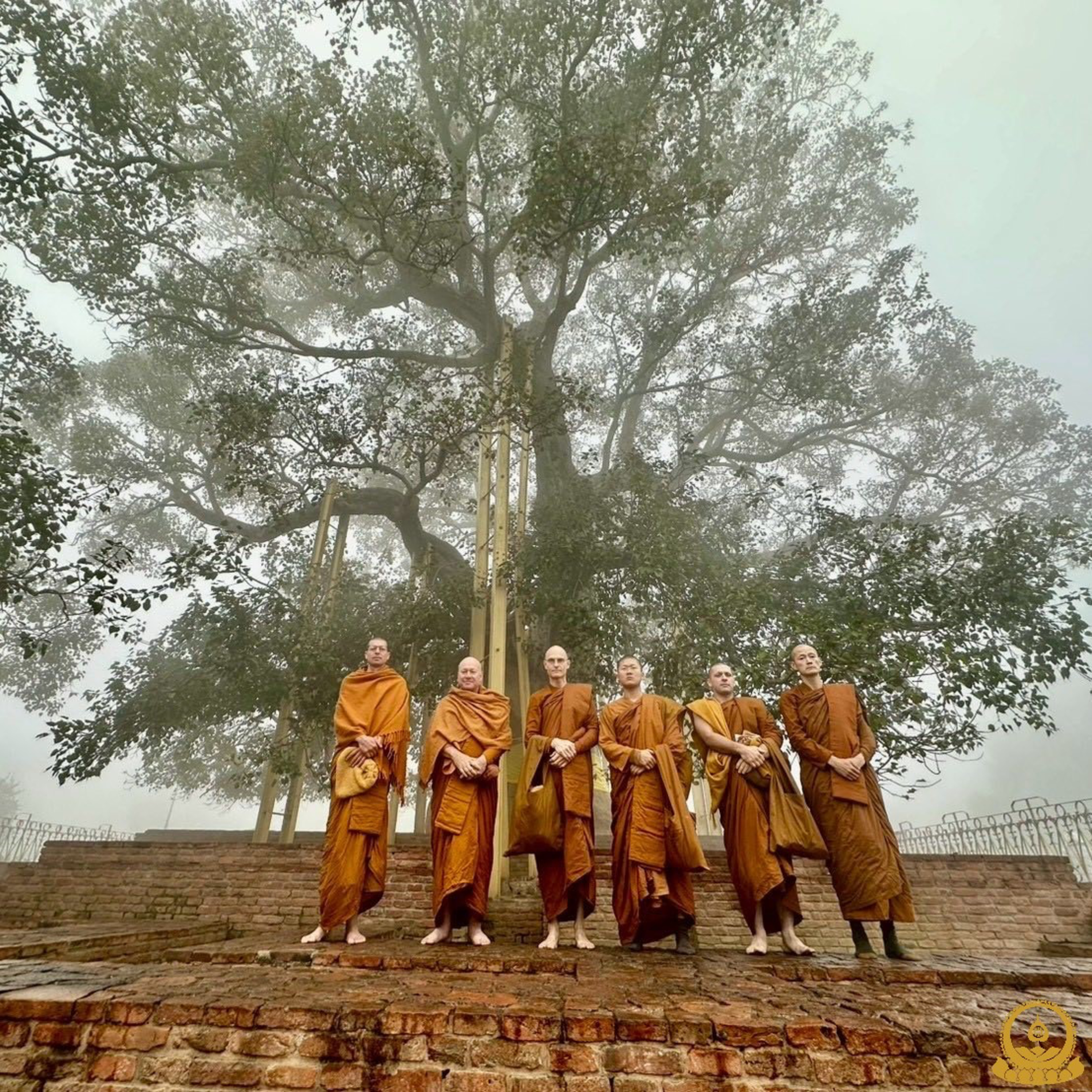 13. India Pilgrimage 11 Jan - Jetavana Monastery - Ananda Bodhi Tree episode artwork