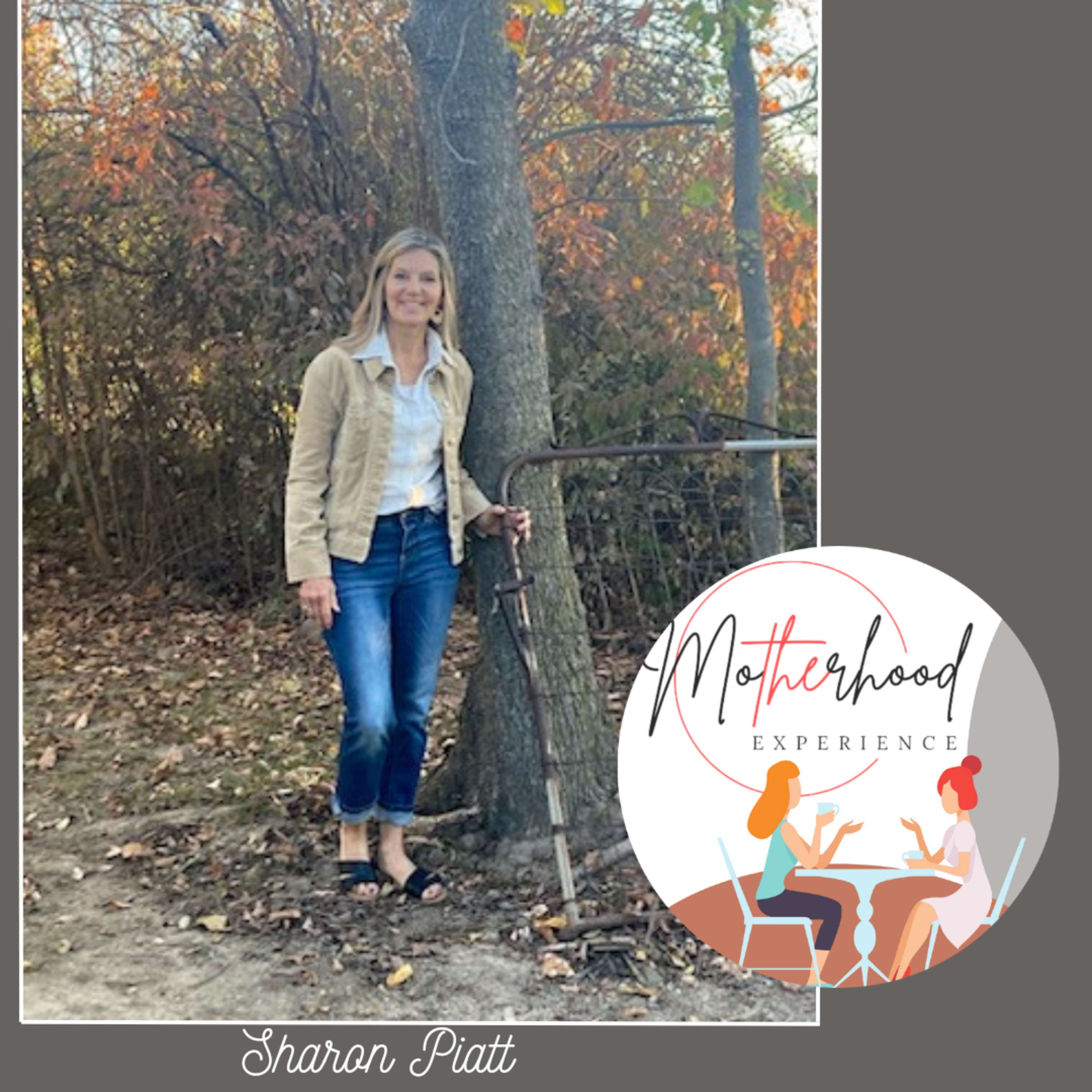 The Motherhood Experience