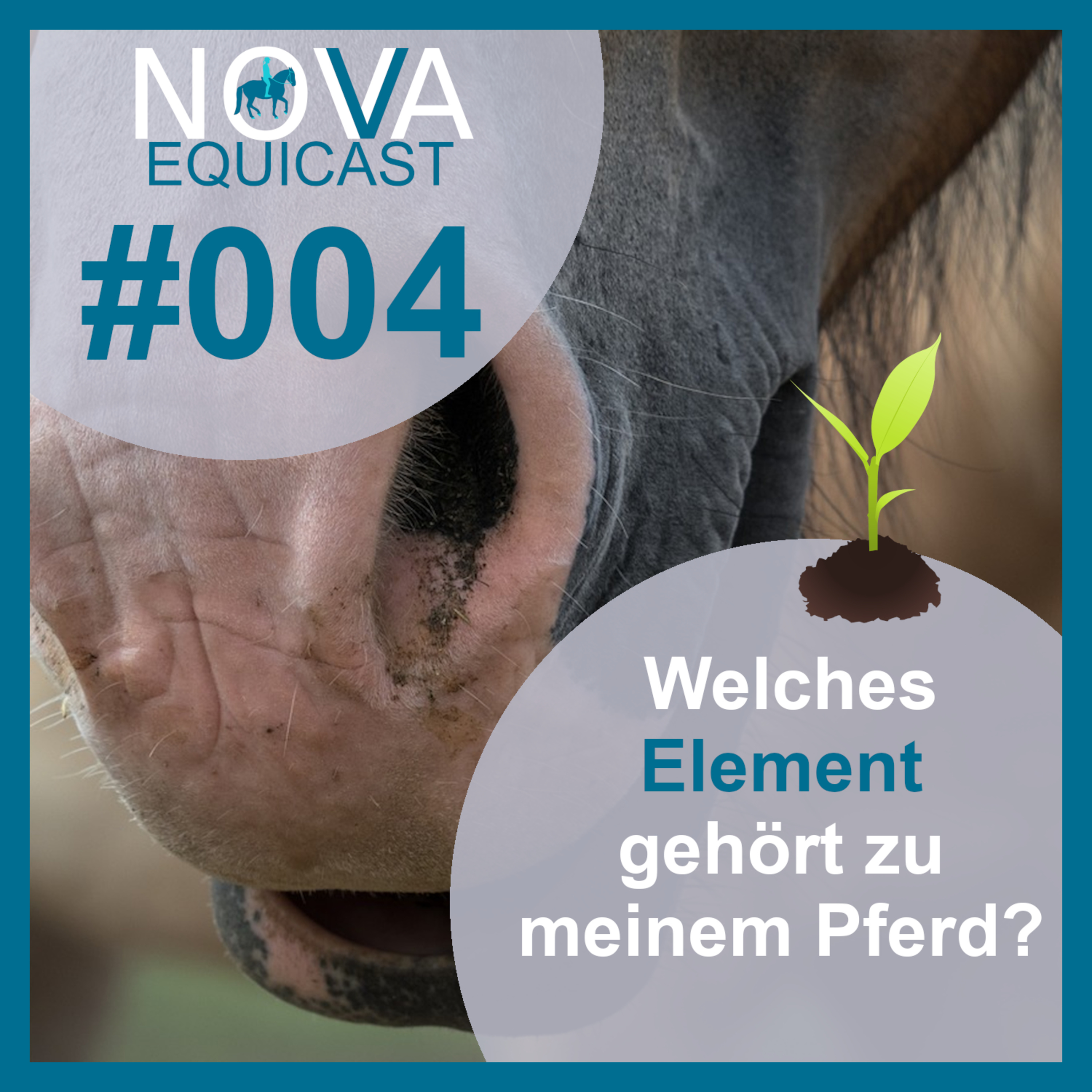 NOVA EQUICAST