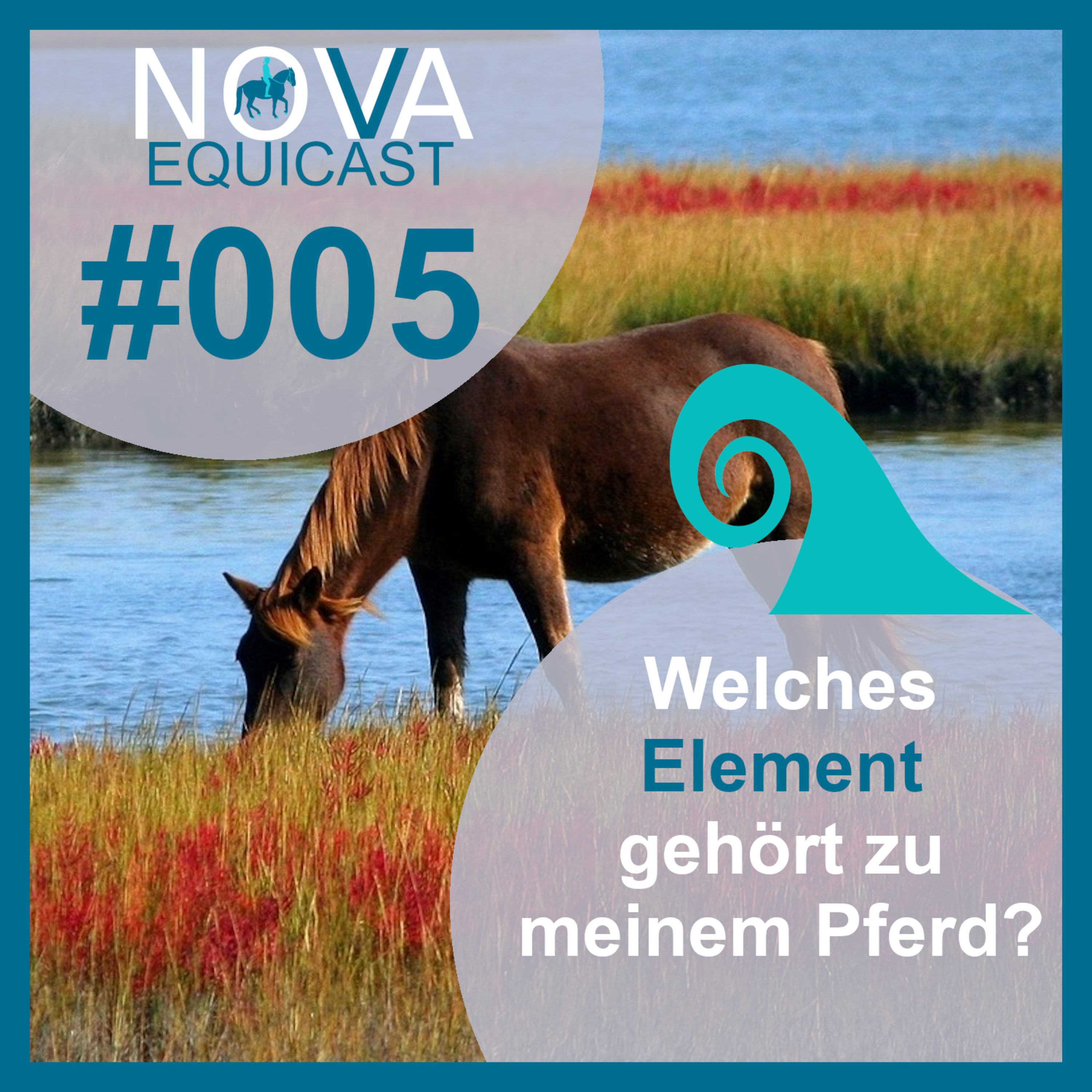 NOVA EQUICAST