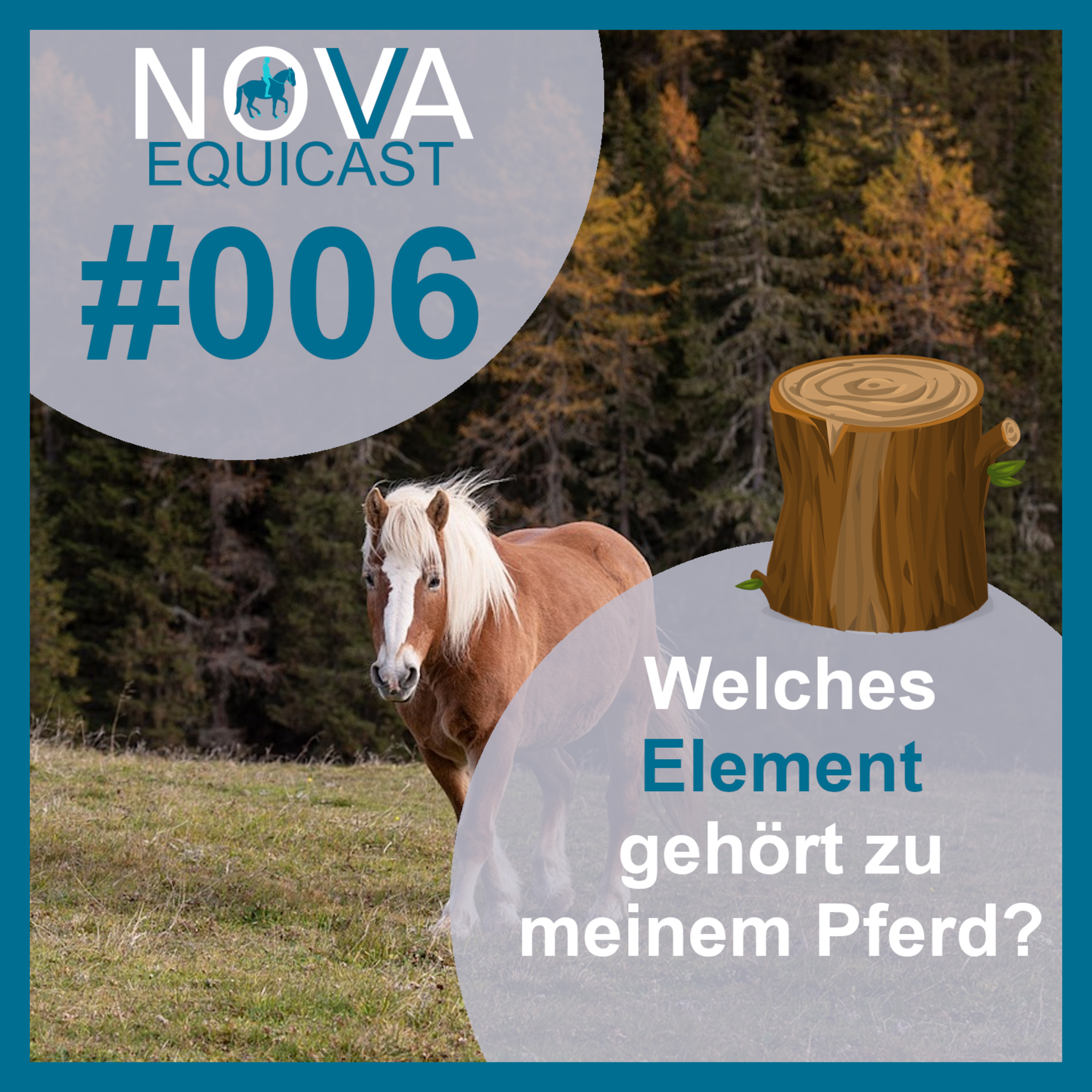 NOVA EQUICAST
