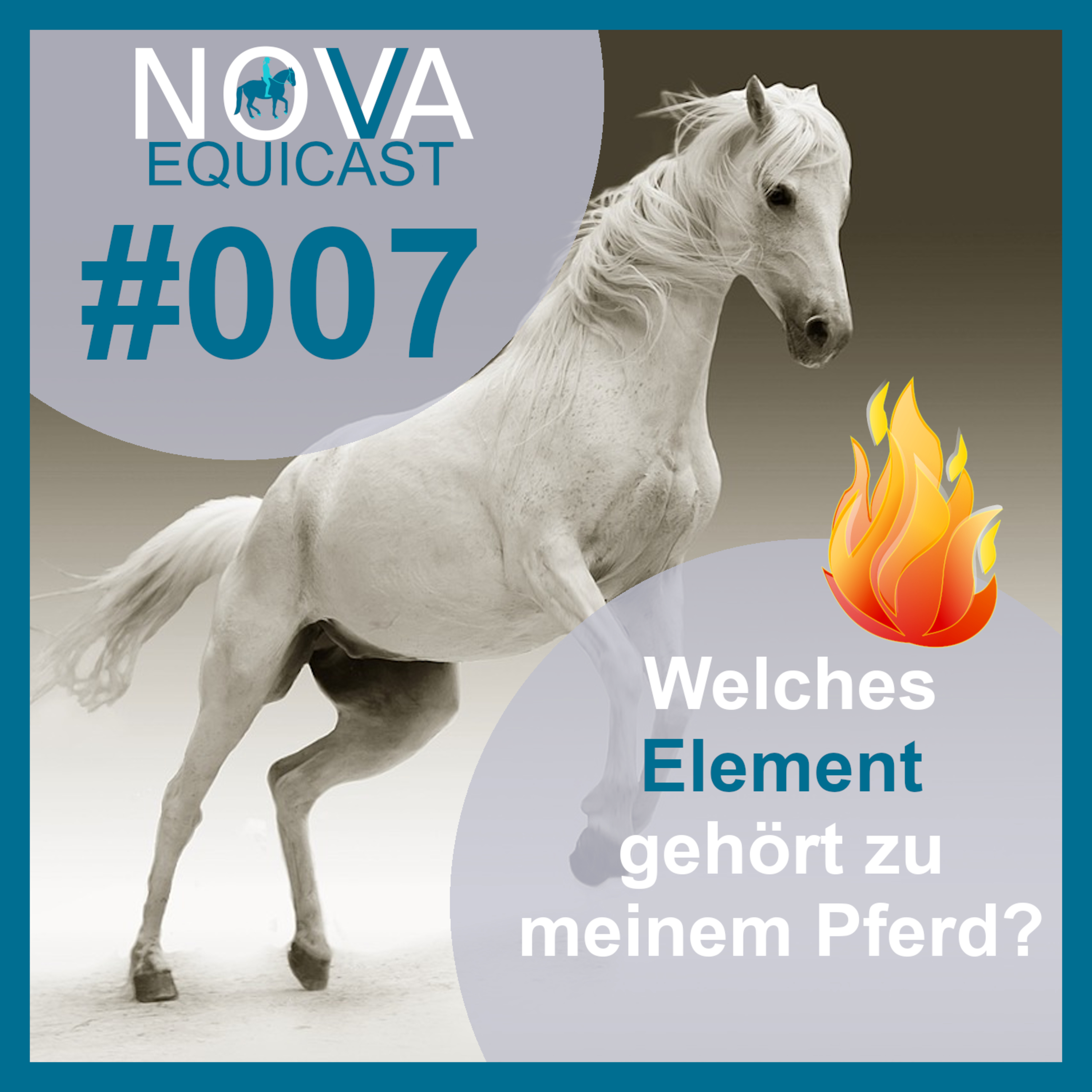NOVA EQUICAST