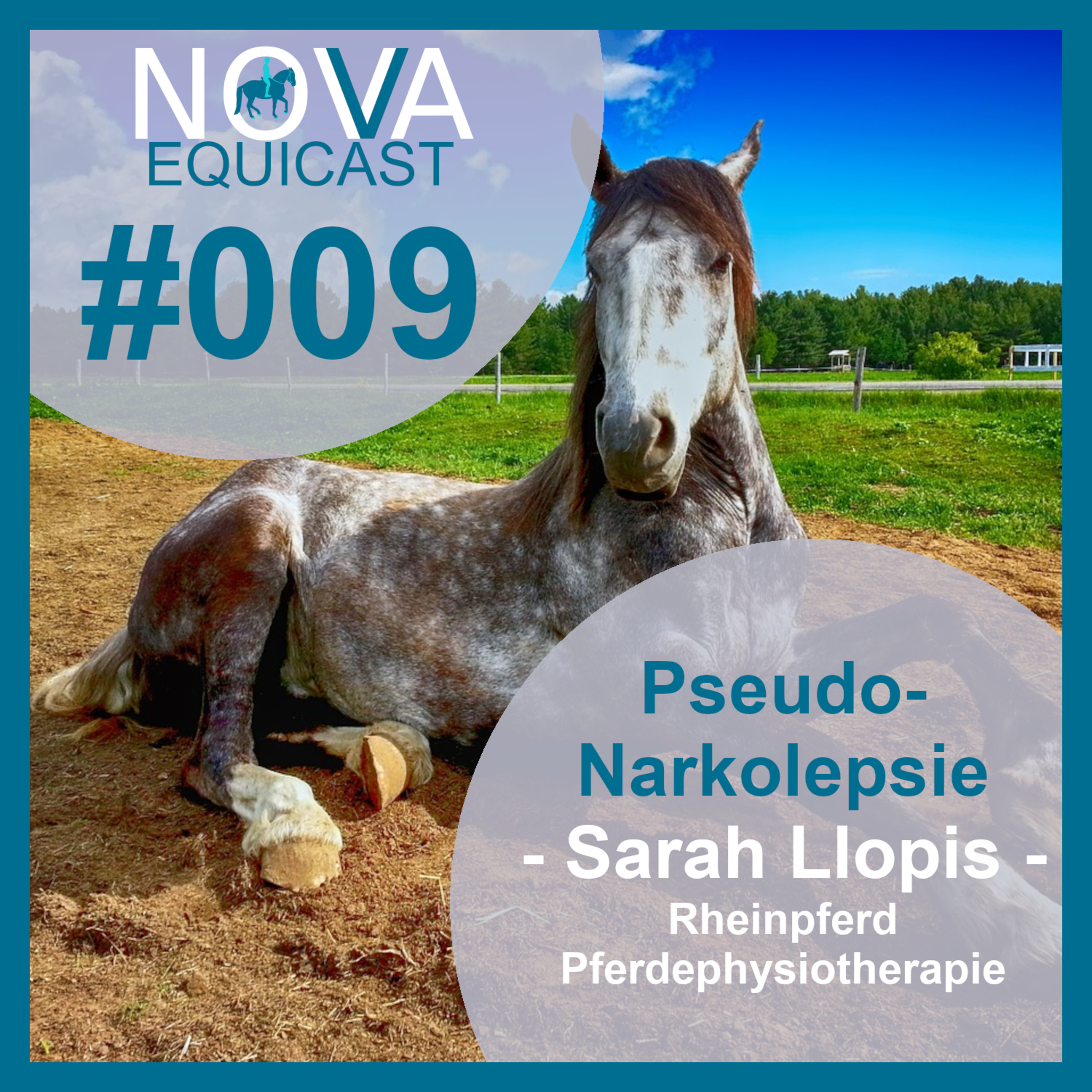 NOVA EQUICAST