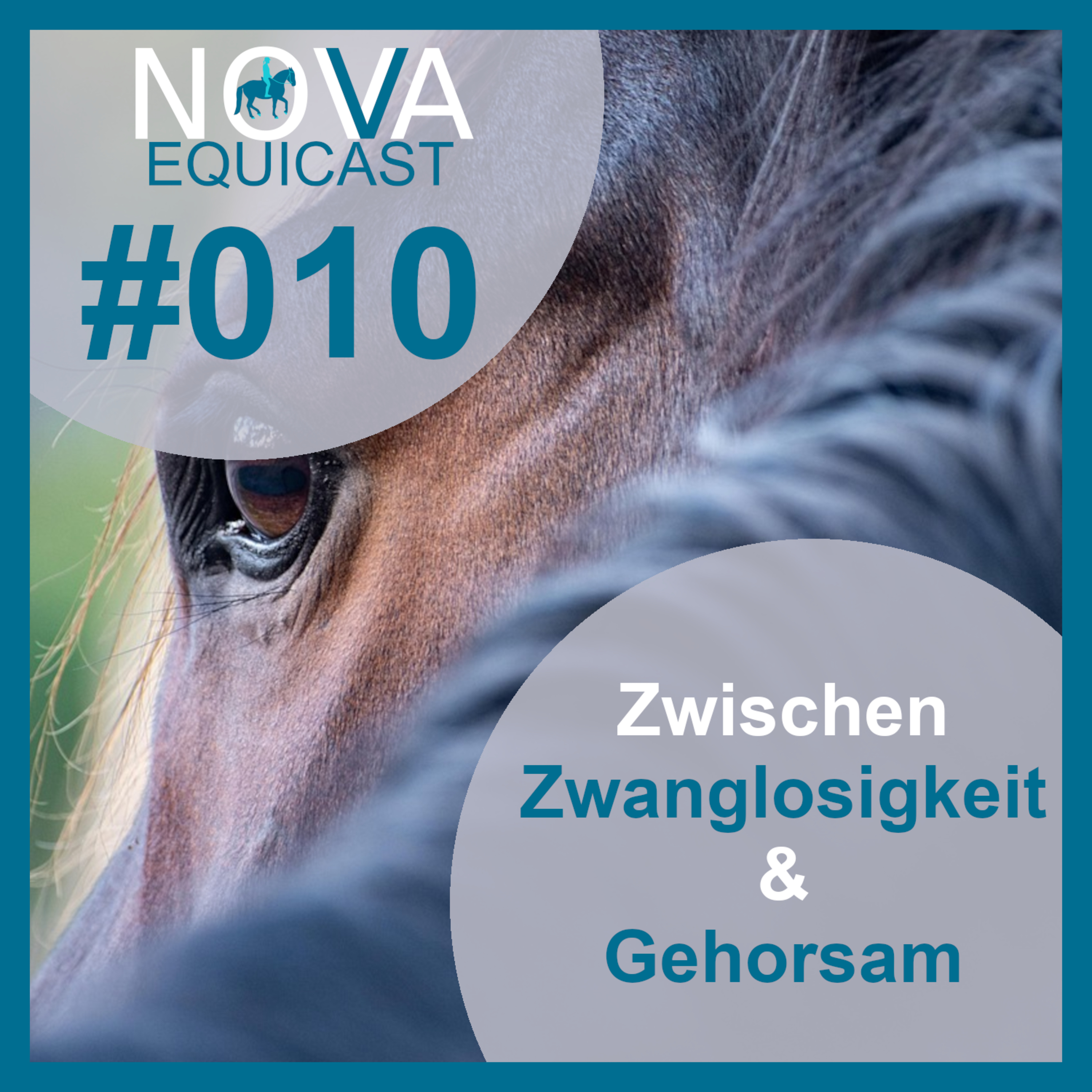 NOVA EQUICAST