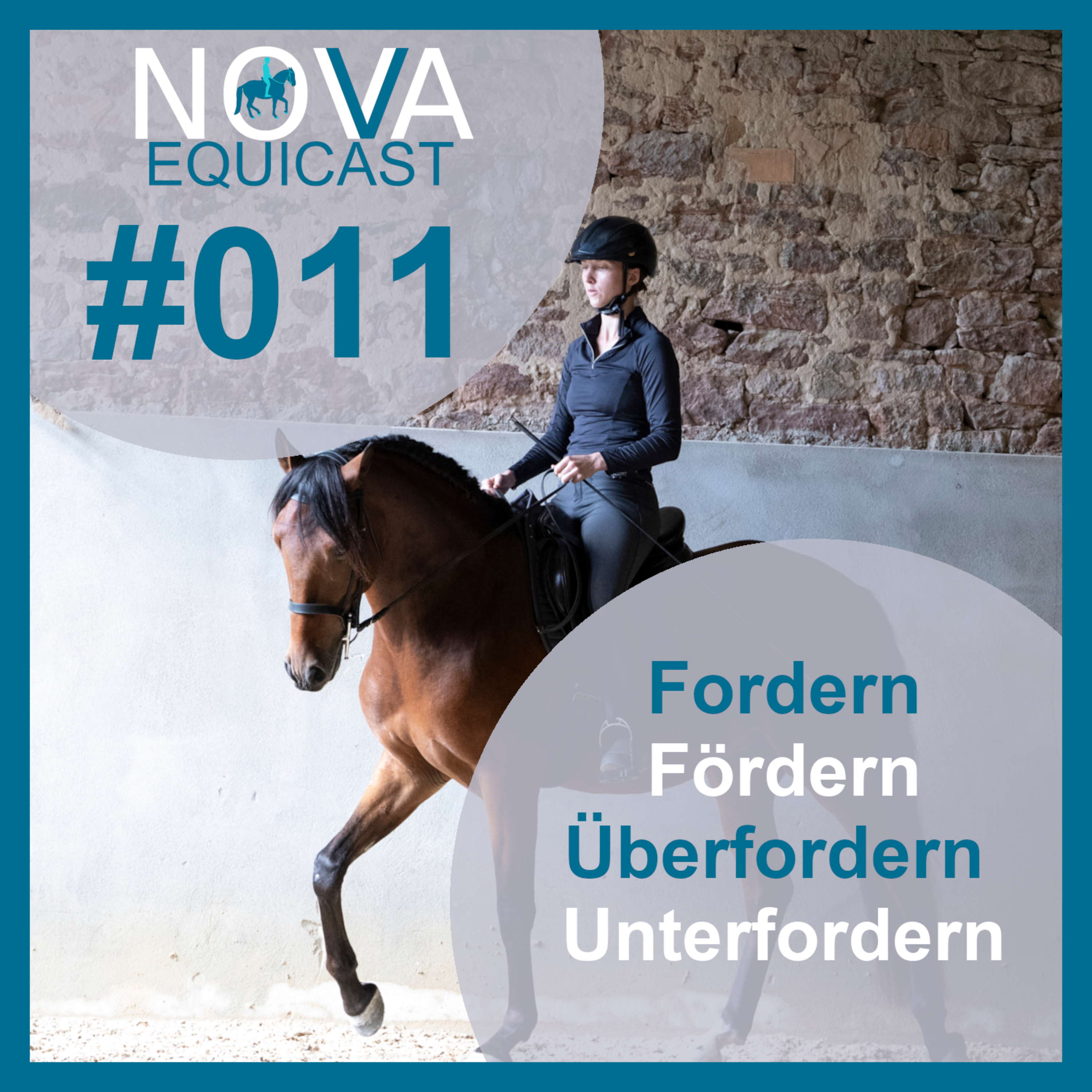NOVA EQUICAST