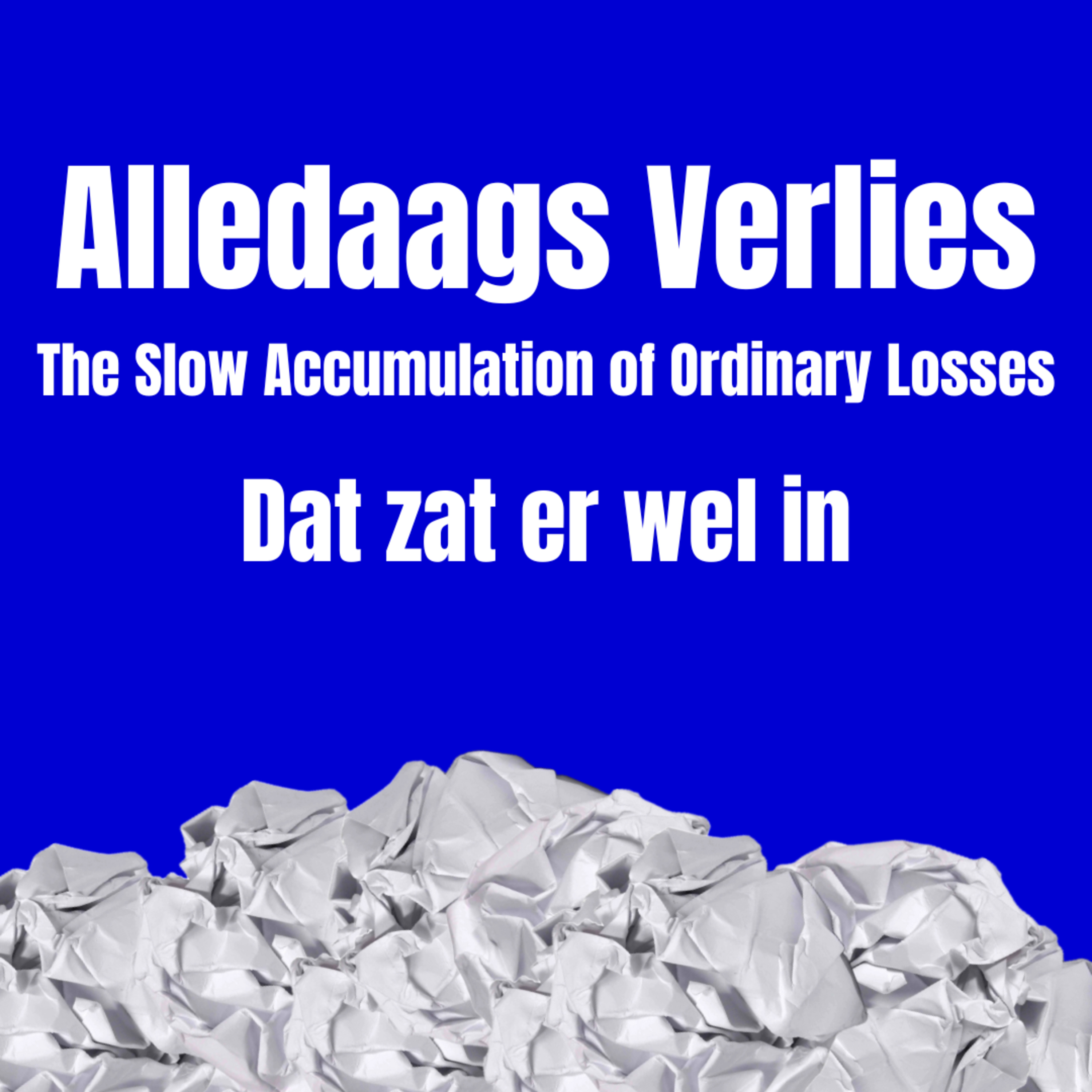 Alledaags Verlies – The Slow Accumulation of Ordinary Losses - Dat zat er wel in episode artwork