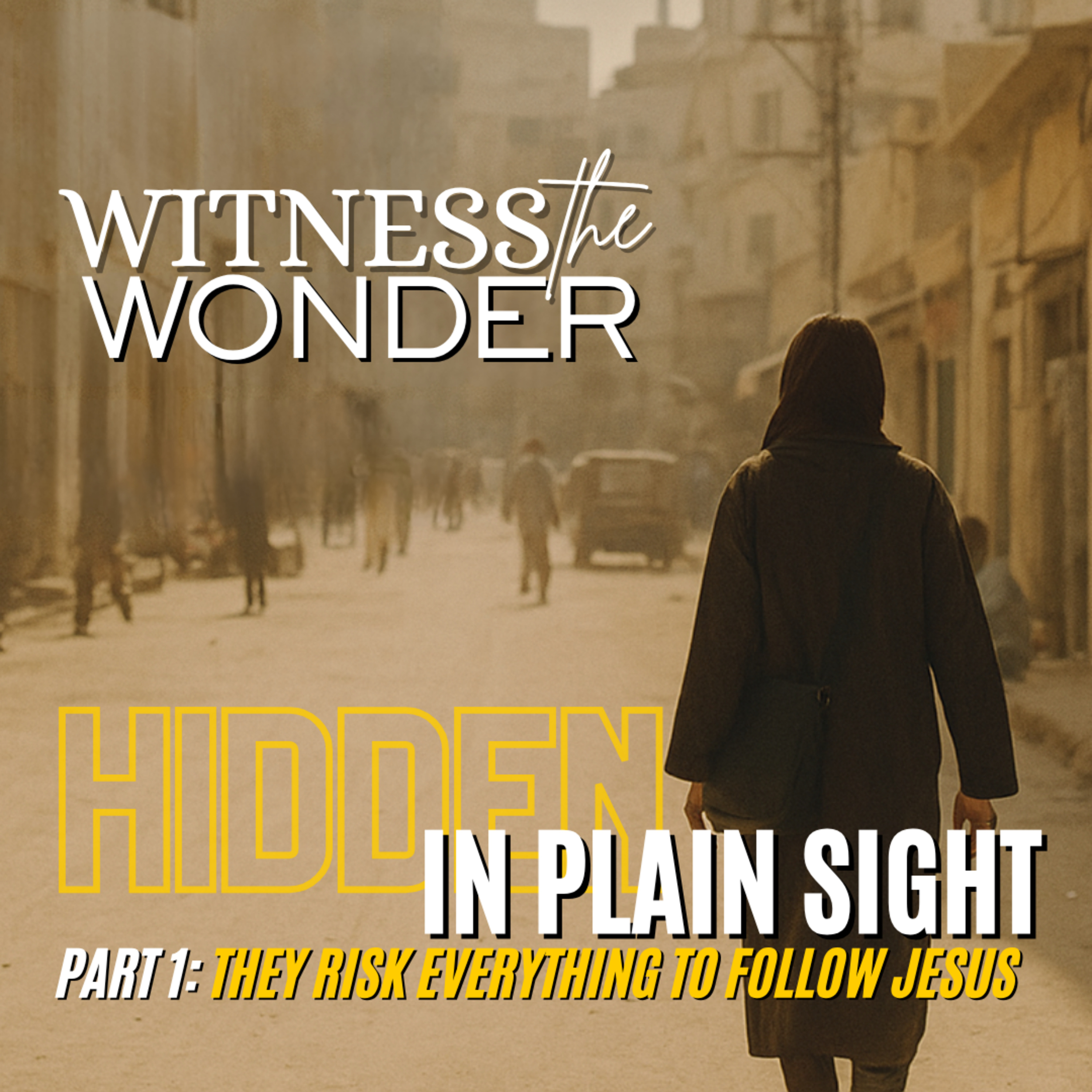 Witness the Wonder: True Stories of Faith, Miracles and the Supernatural that Point to God in Life