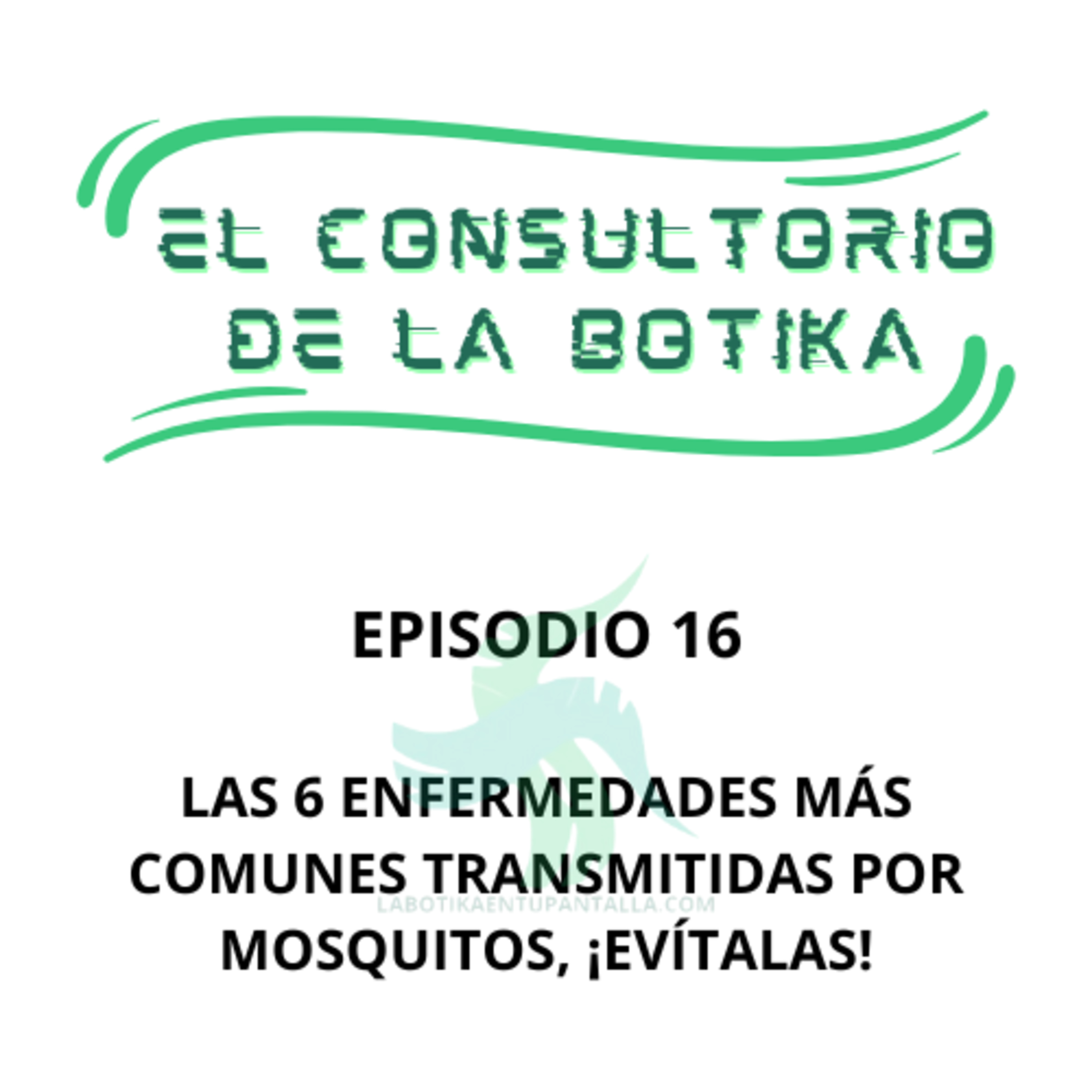 El Consultorio De La Botika