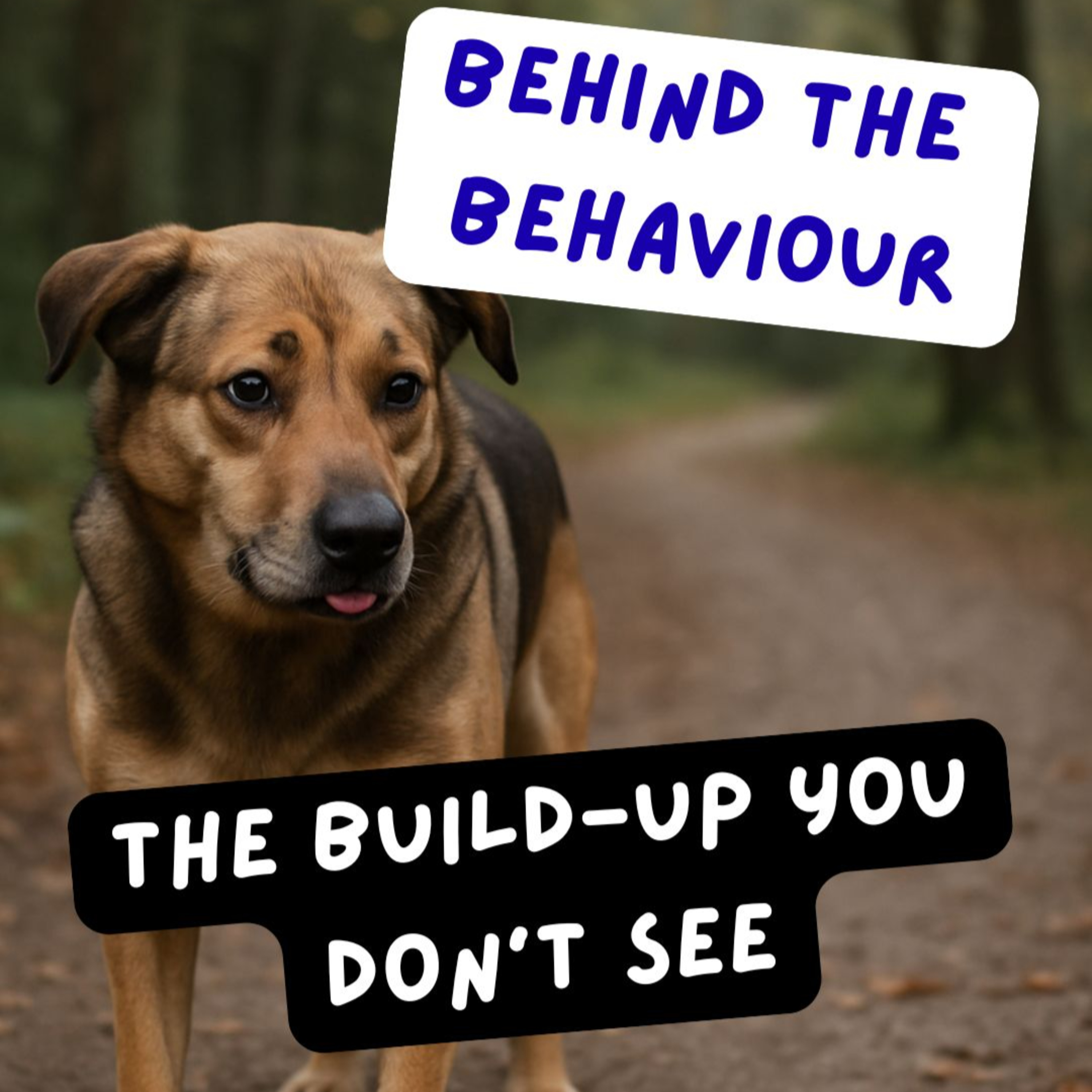 Paws and Pawsitivity