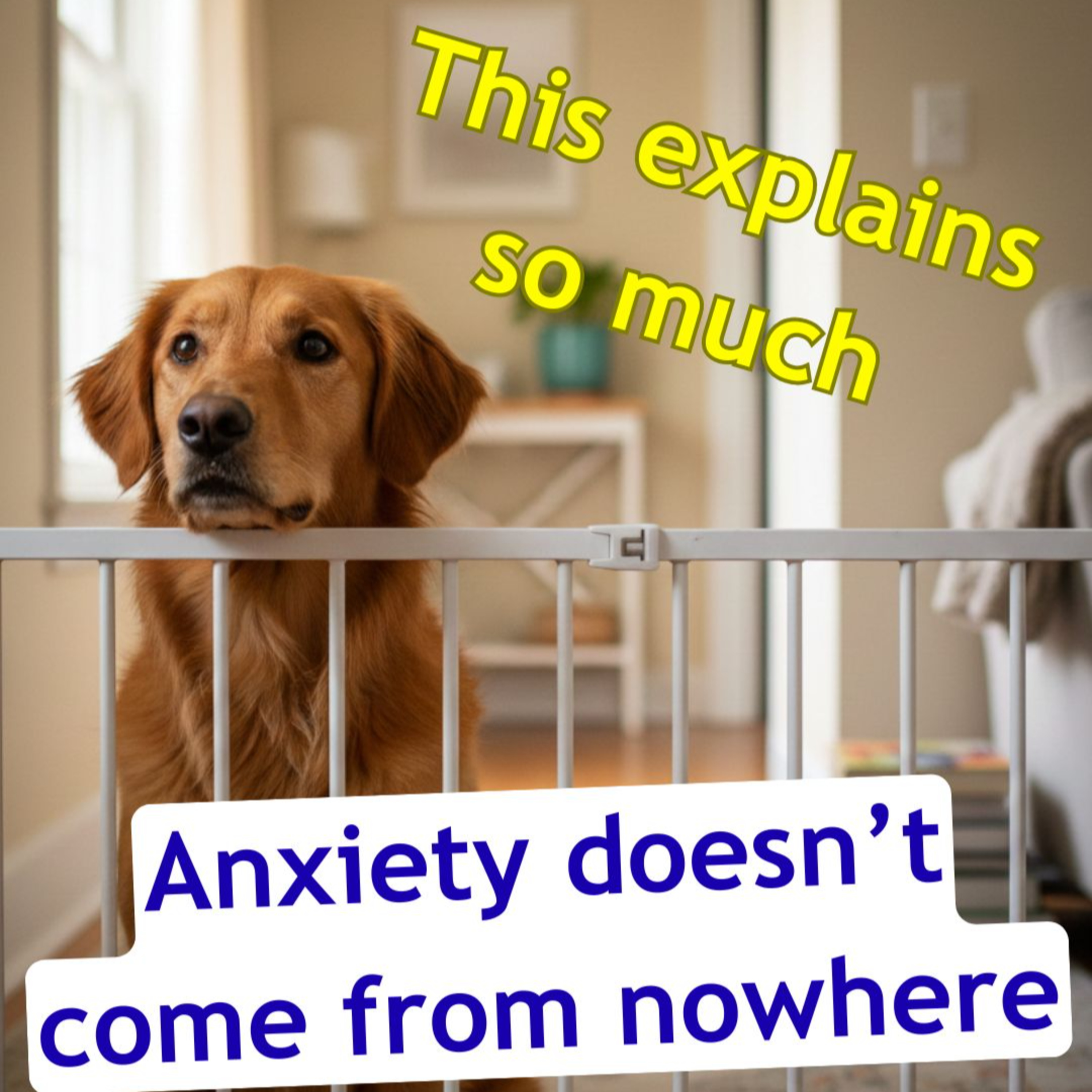 Paws and Pawsitivity