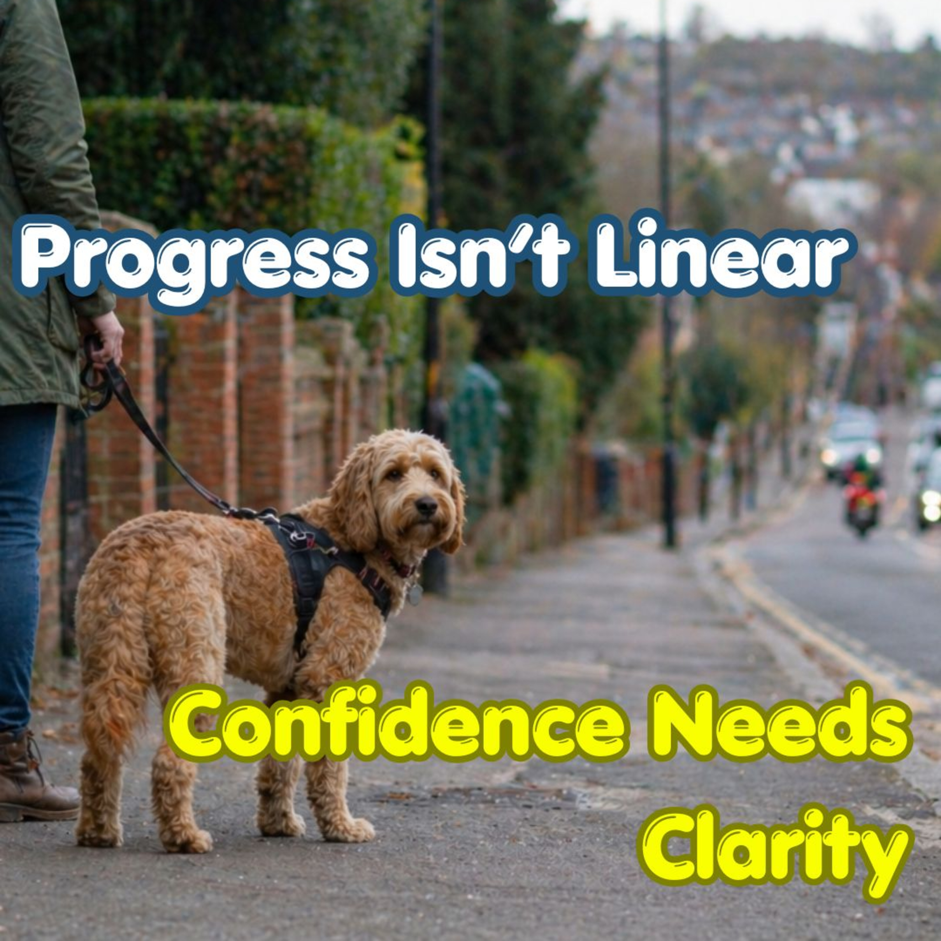 Episode #3.20 - Why Training Too Fast Confuses Dogs: How Pacing Builds Confidence and Learning episode artwork