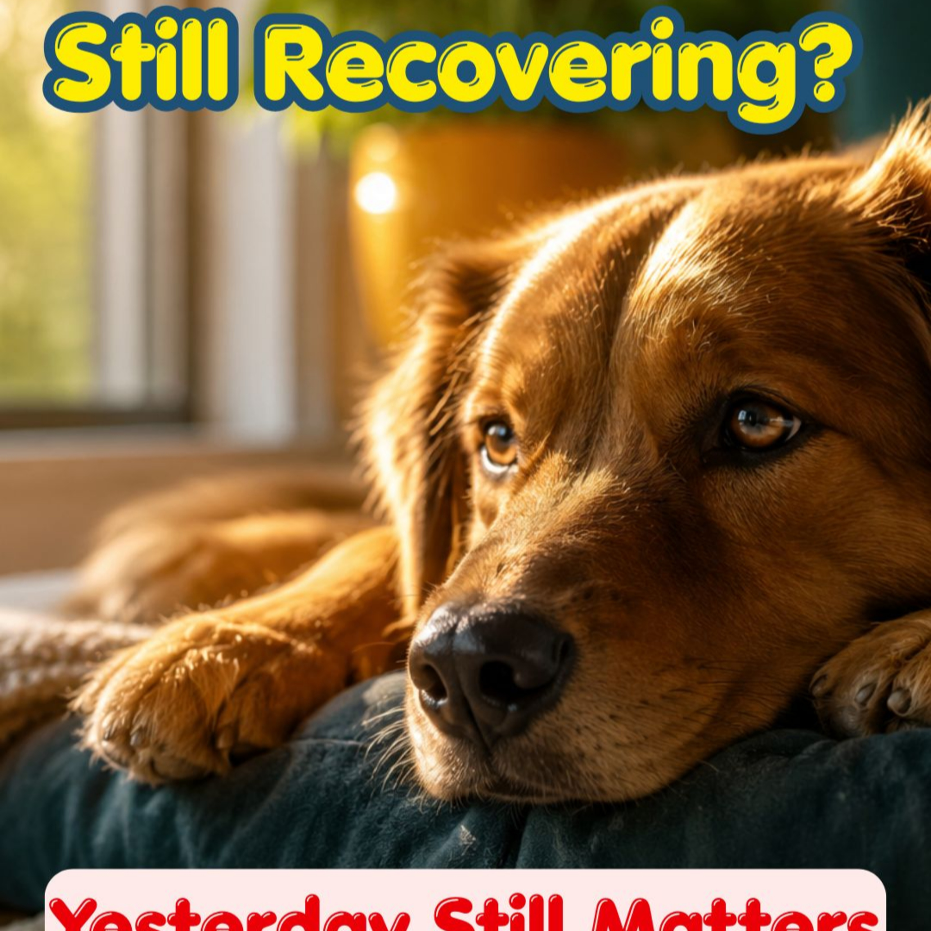 Episode #3.21 - Stress Doesn't Reset Overnight: Why Your Dog Can't Just "Get Over It" episode artwork