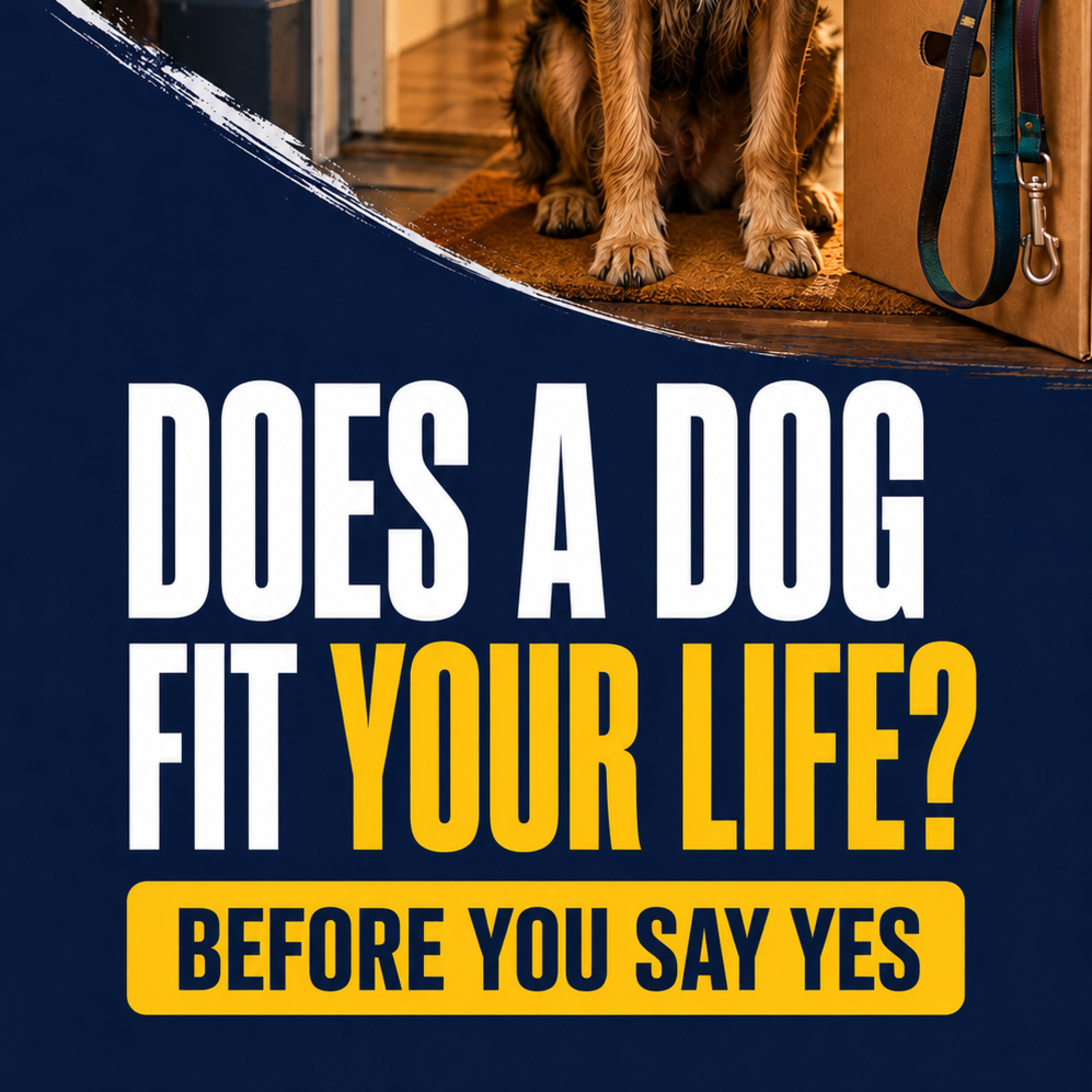 Episode #4.1 - Before You Bring a Dog Home: Does a Dog Really Fit Your Life? episode artwork