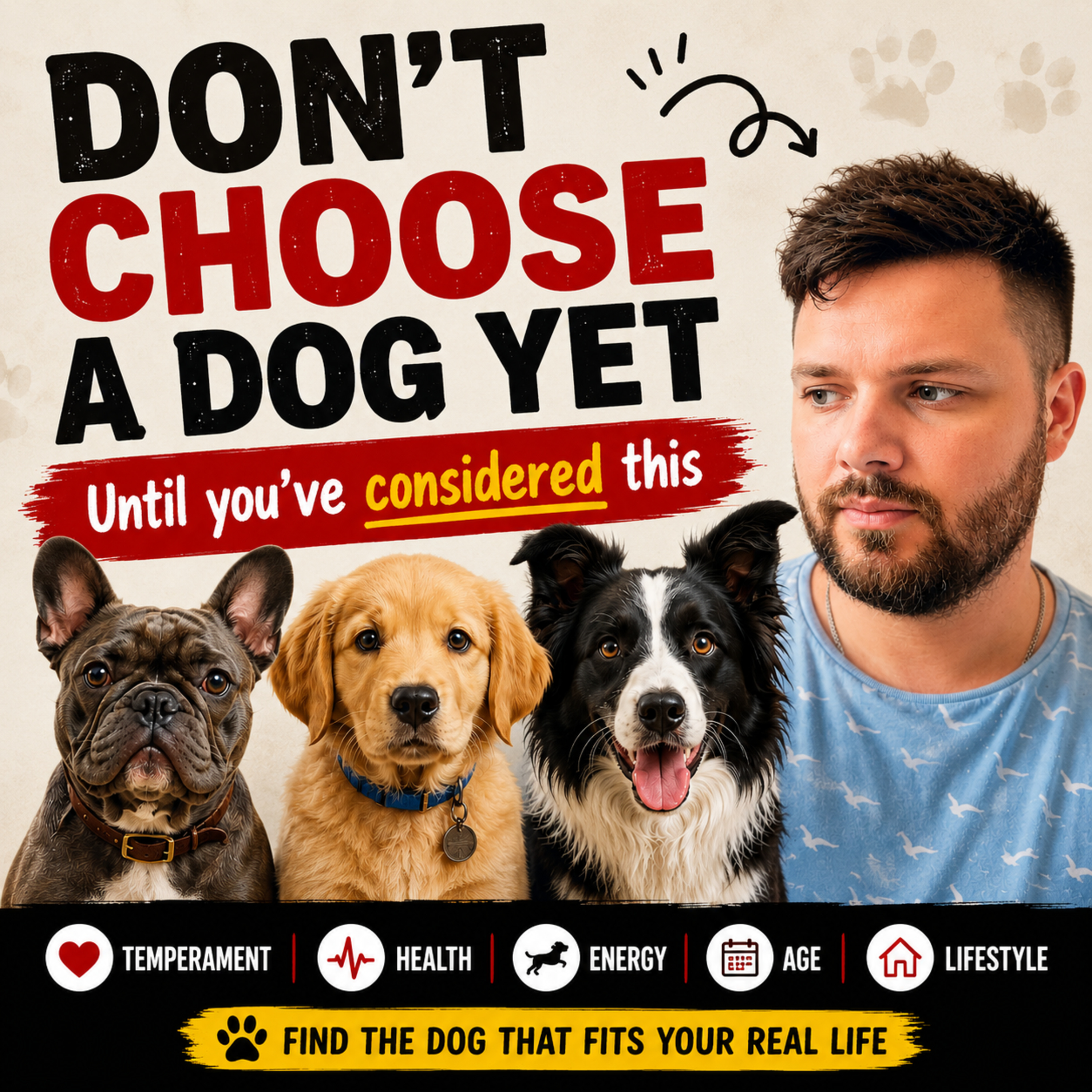 Episode #4.2 - Choosing the Right Dog: Find the Dog That Actually Fits Your Life episode artwork