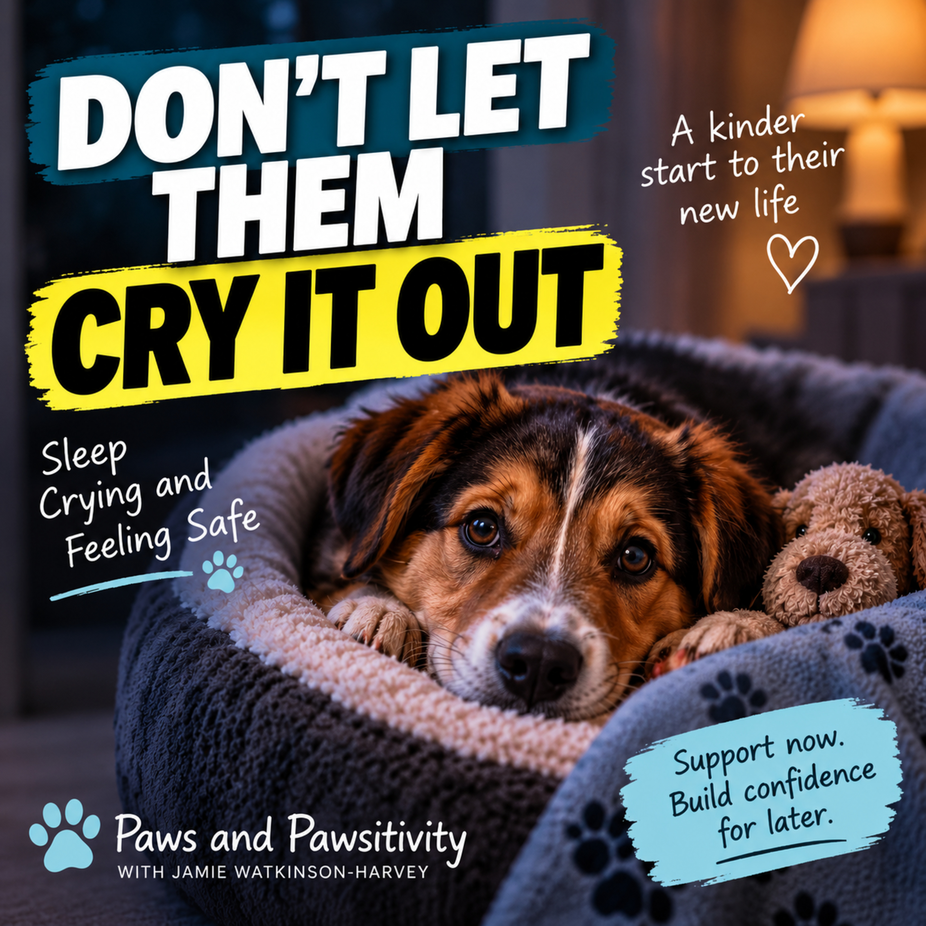 Episode #4.4 - Your Dog’s First Night Home: Sleep, Crying and Helping Them Feel Safe episode artwork