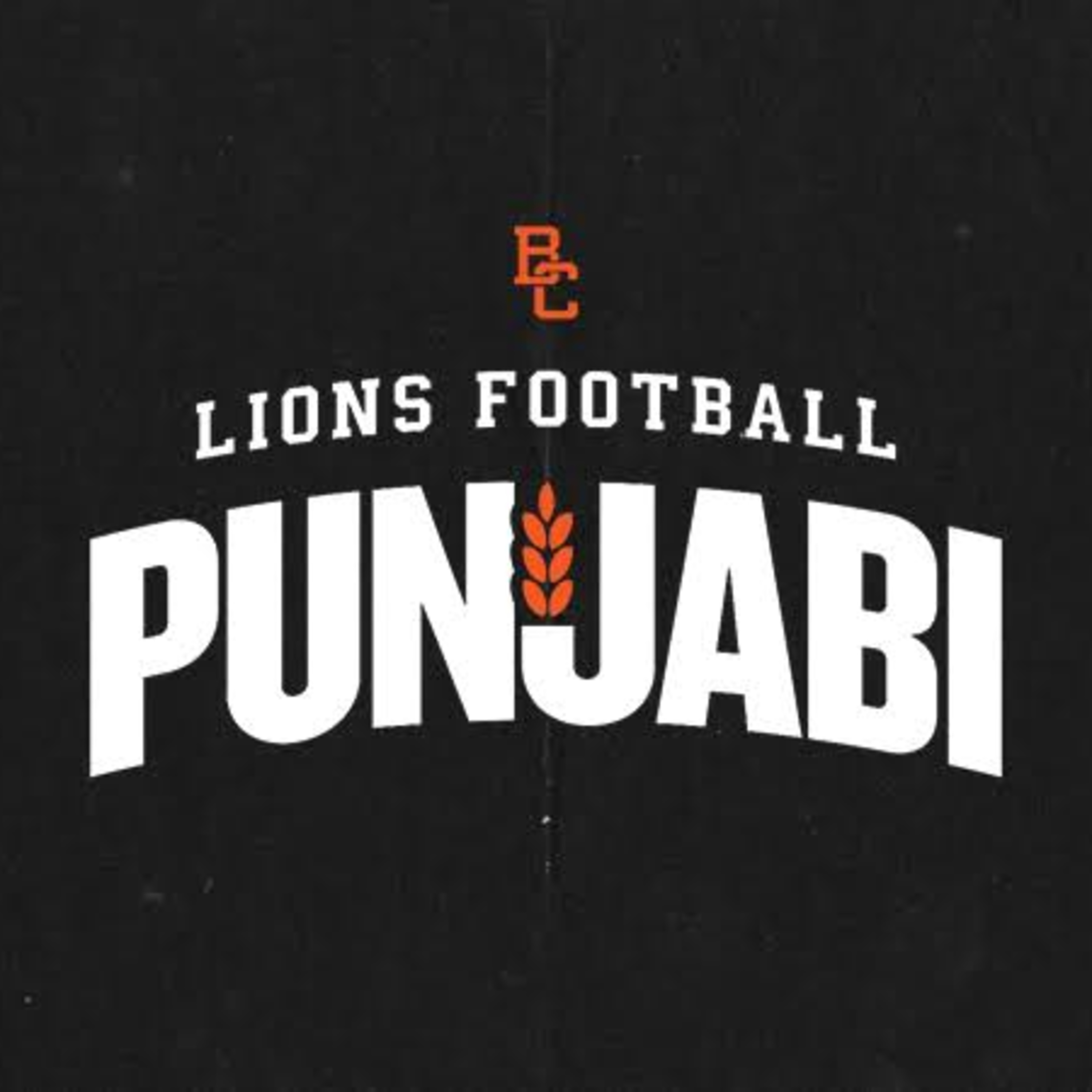 Week 7 BC Lions at Edmonton Elks Part 2  episode artwork