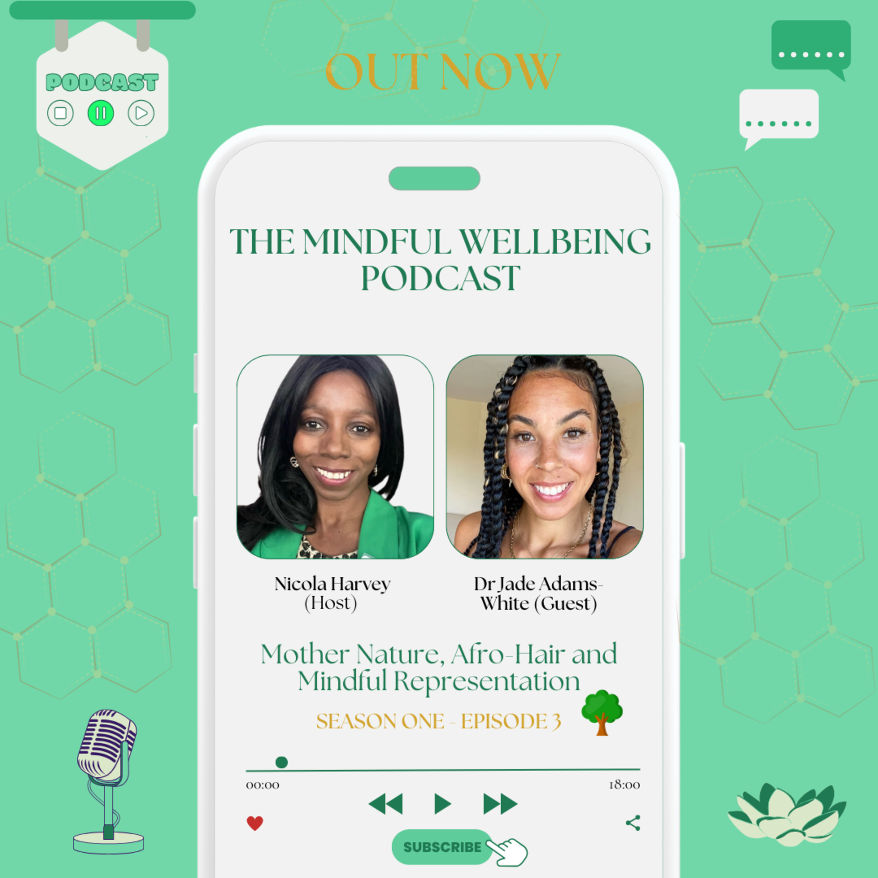 The Mindful Wellbeing Podcast