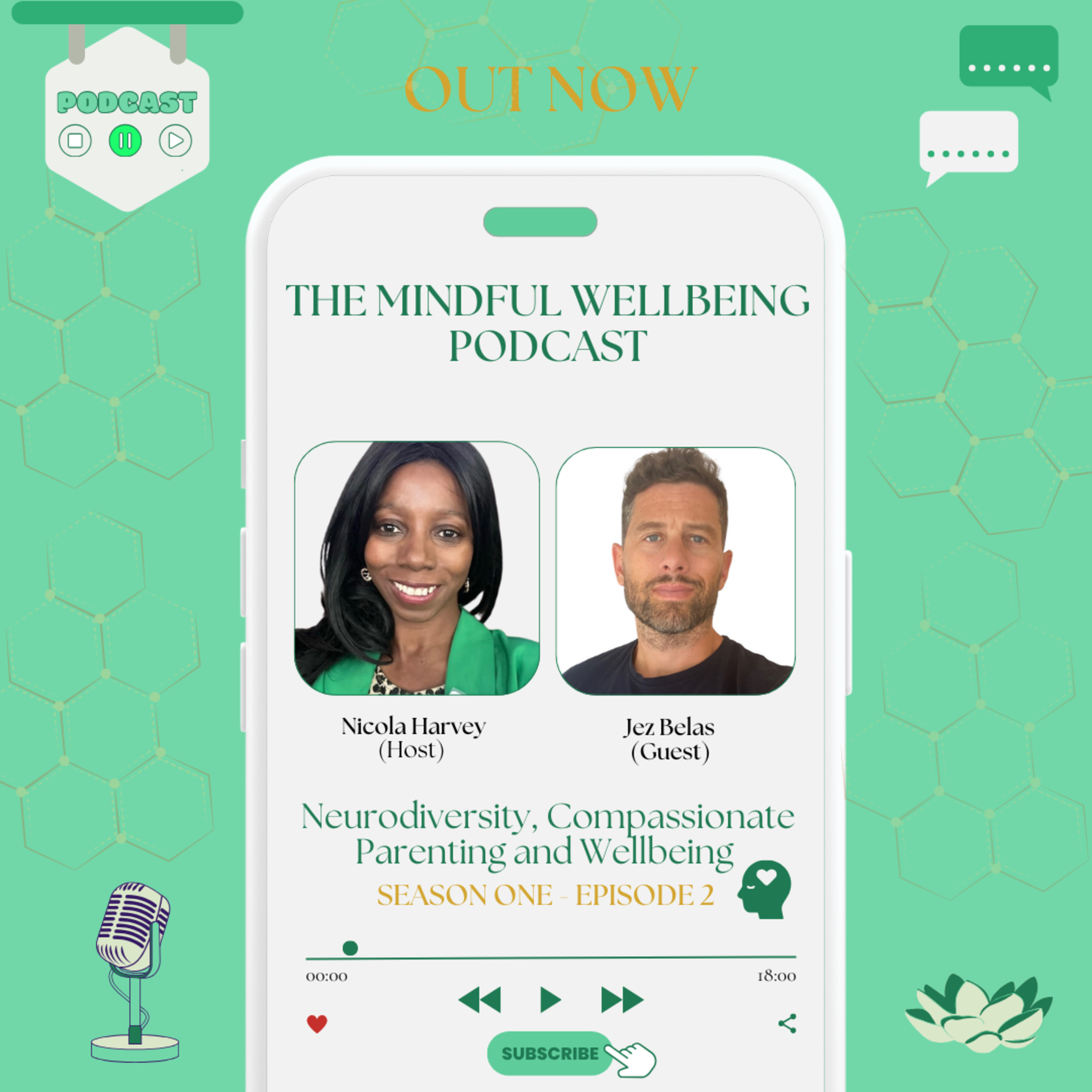 The Mindful Wellbeing Podcast