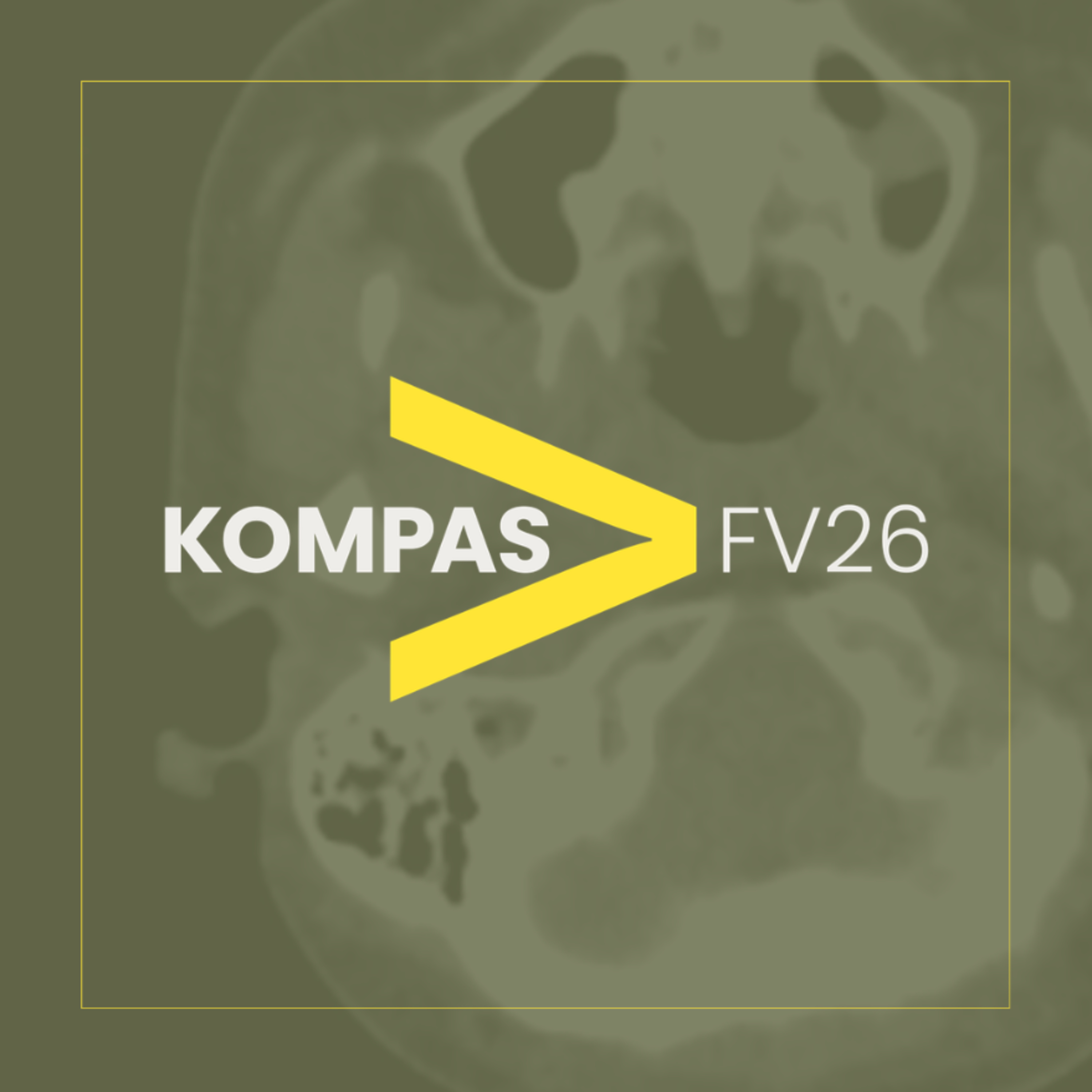 Prolog KOMPAS til Valgets Psykologi