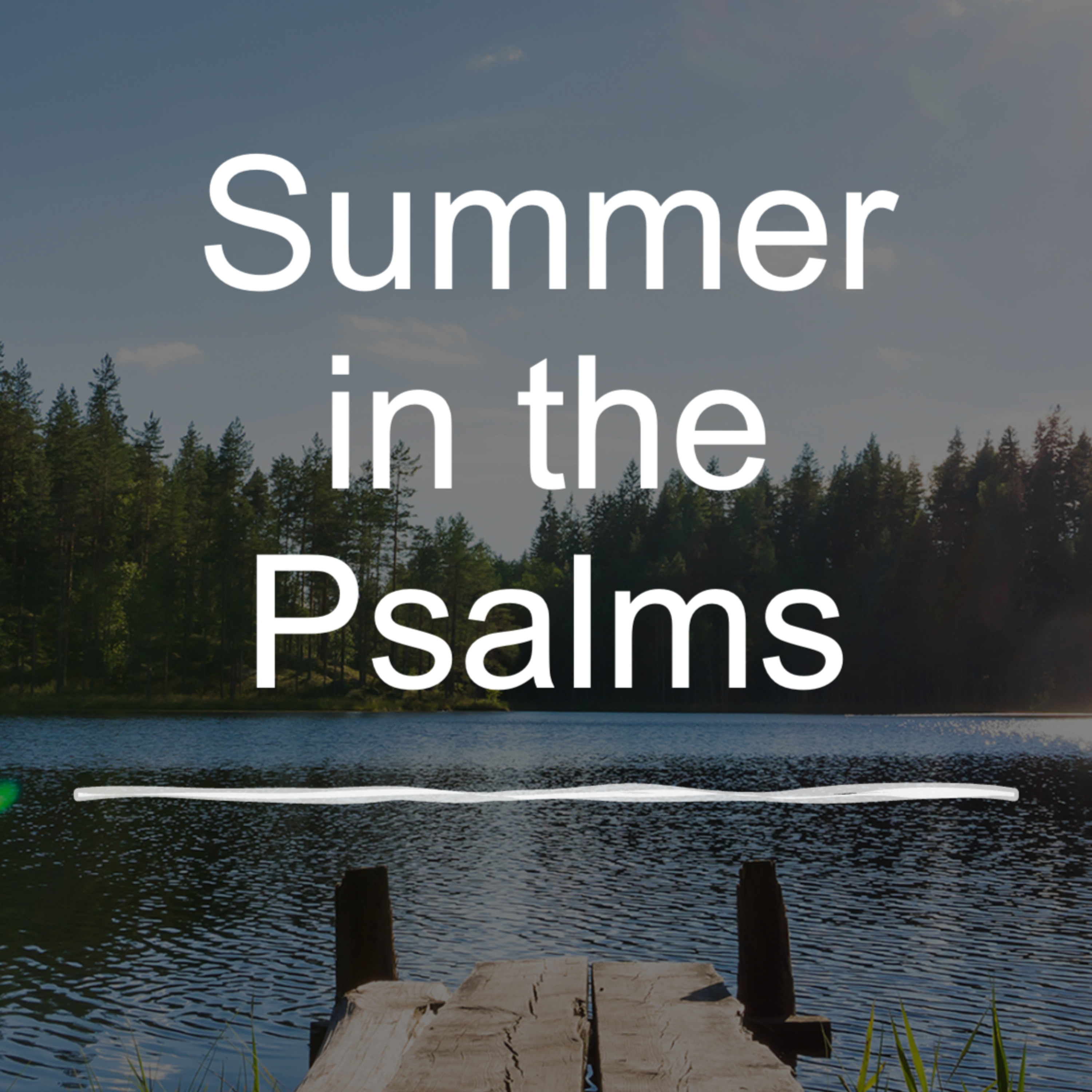 Psalm 40 episode artwork