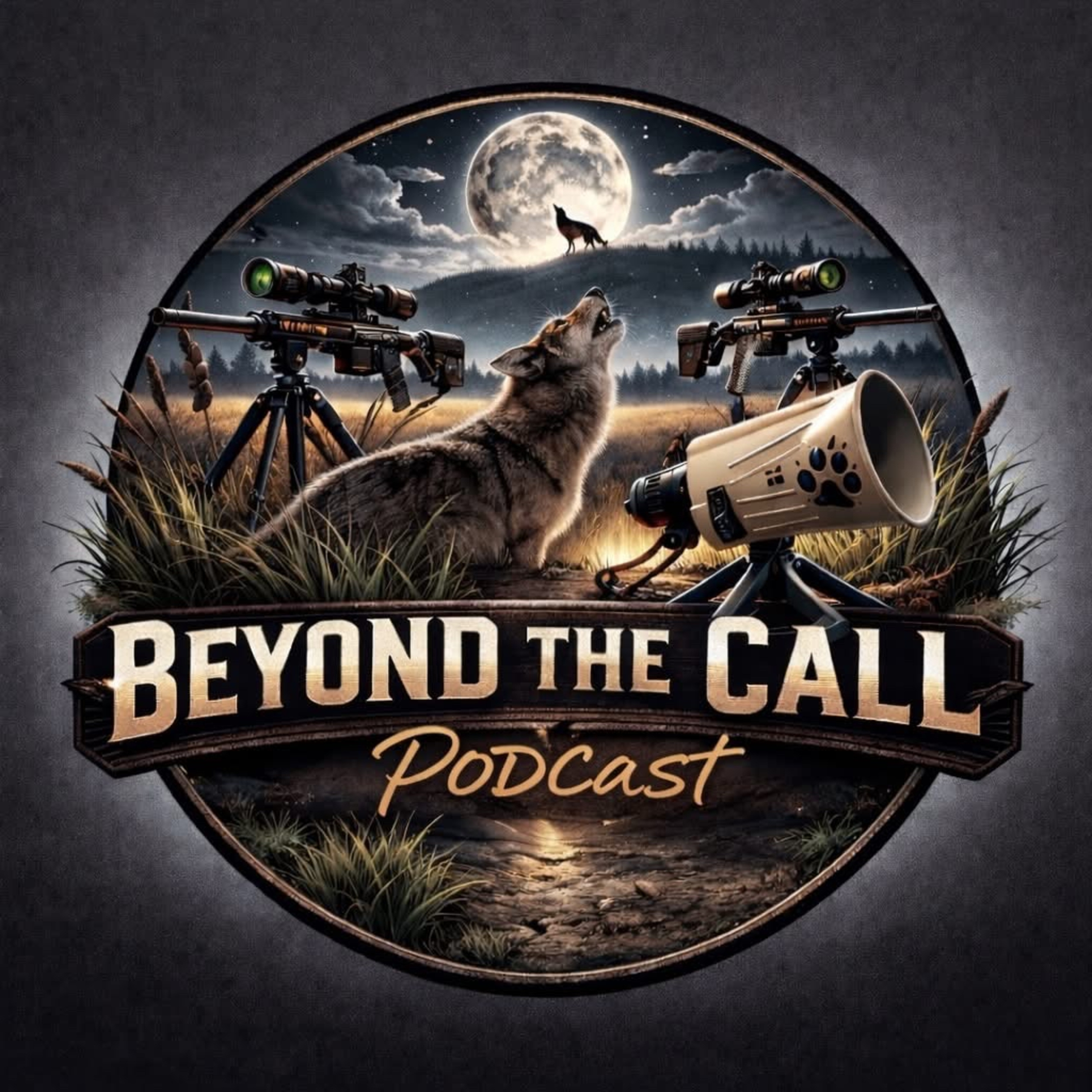 S4 E12: Matt & Nick Of Beyond The Call Podcast episode artwork